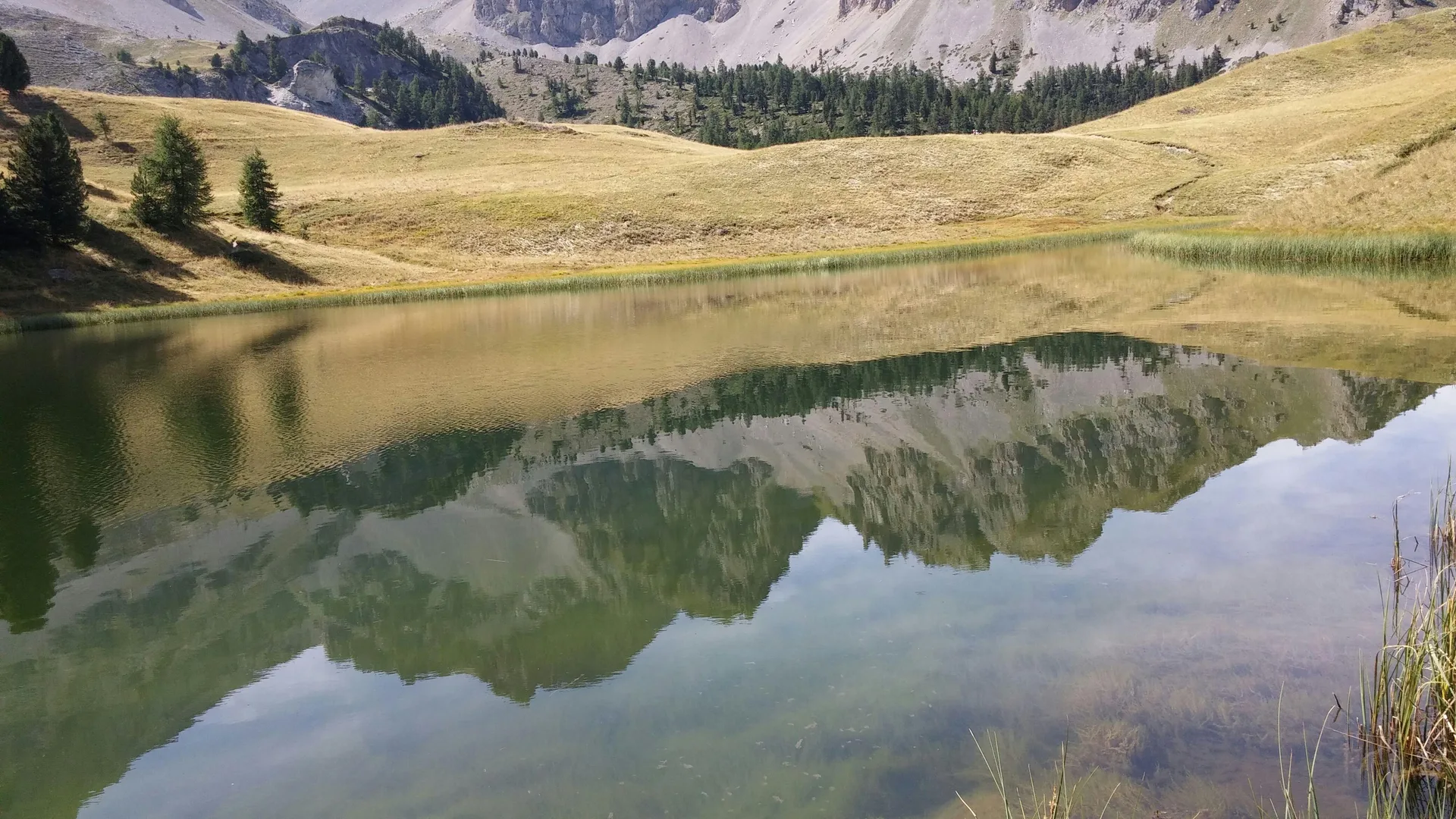 Lacs de Crupillouse à Piégut — À 1,9 km du lac