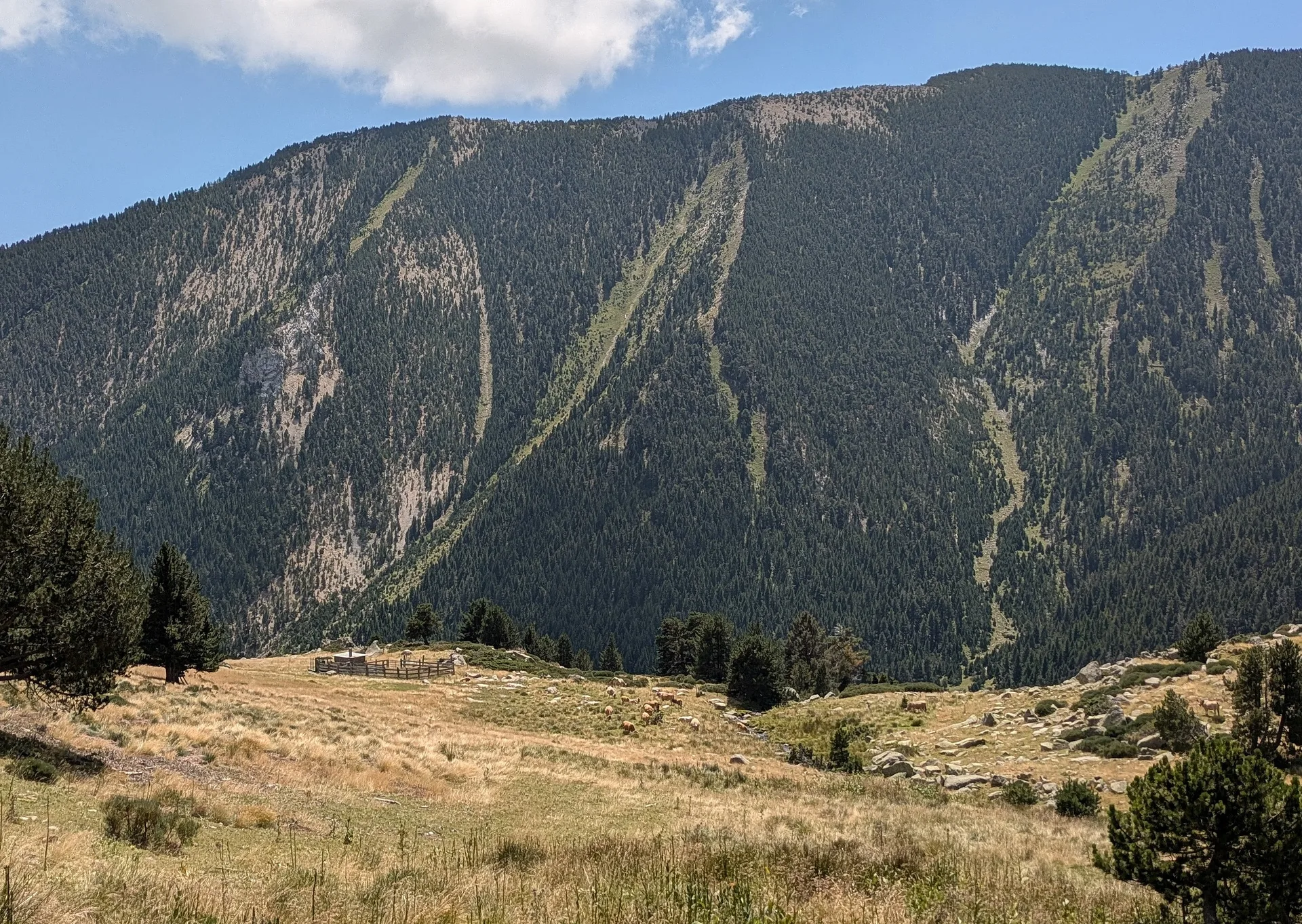 Lacs de Madres 2087 m à Olette — À 900 m du lac
