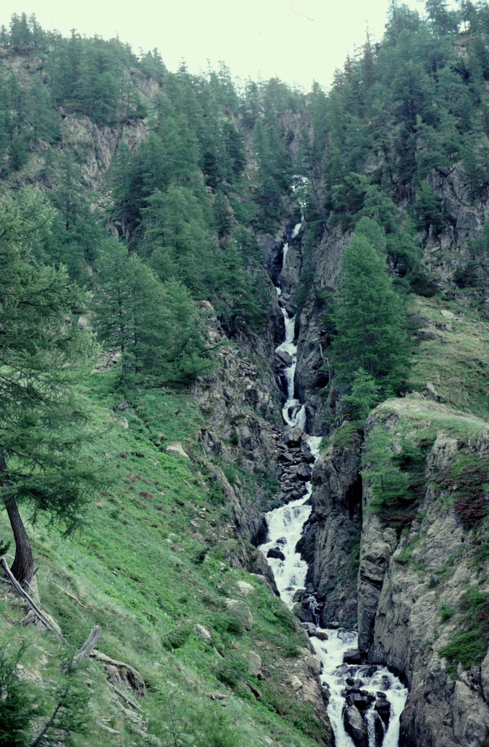 Lacs de Morgon à Saint-Étienne-de-Tinée — À 3,1 km du lac
