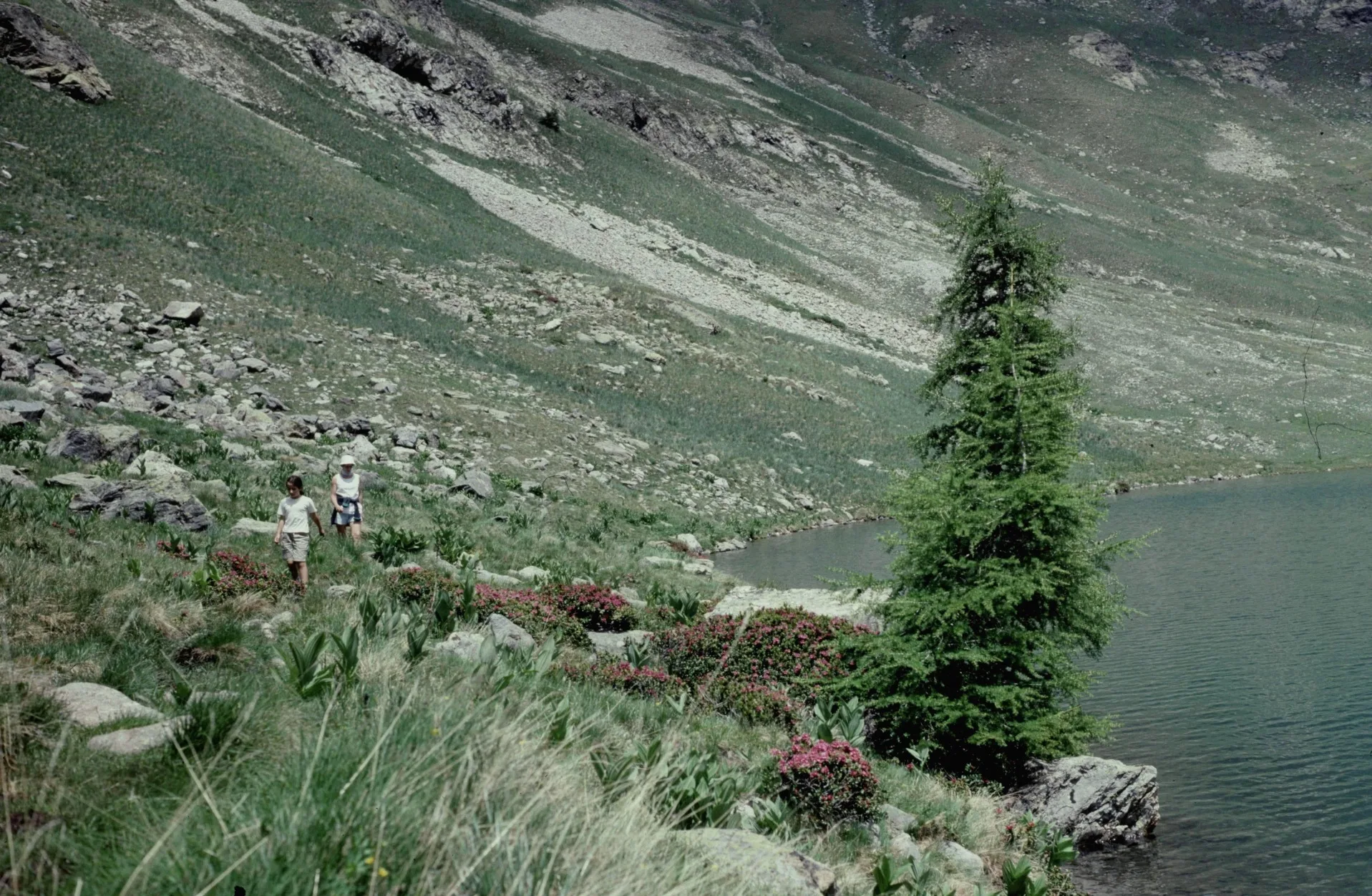 Lacs de Morgon à Saint-Étienne-de-Tinée — À 3,2 km du lac
