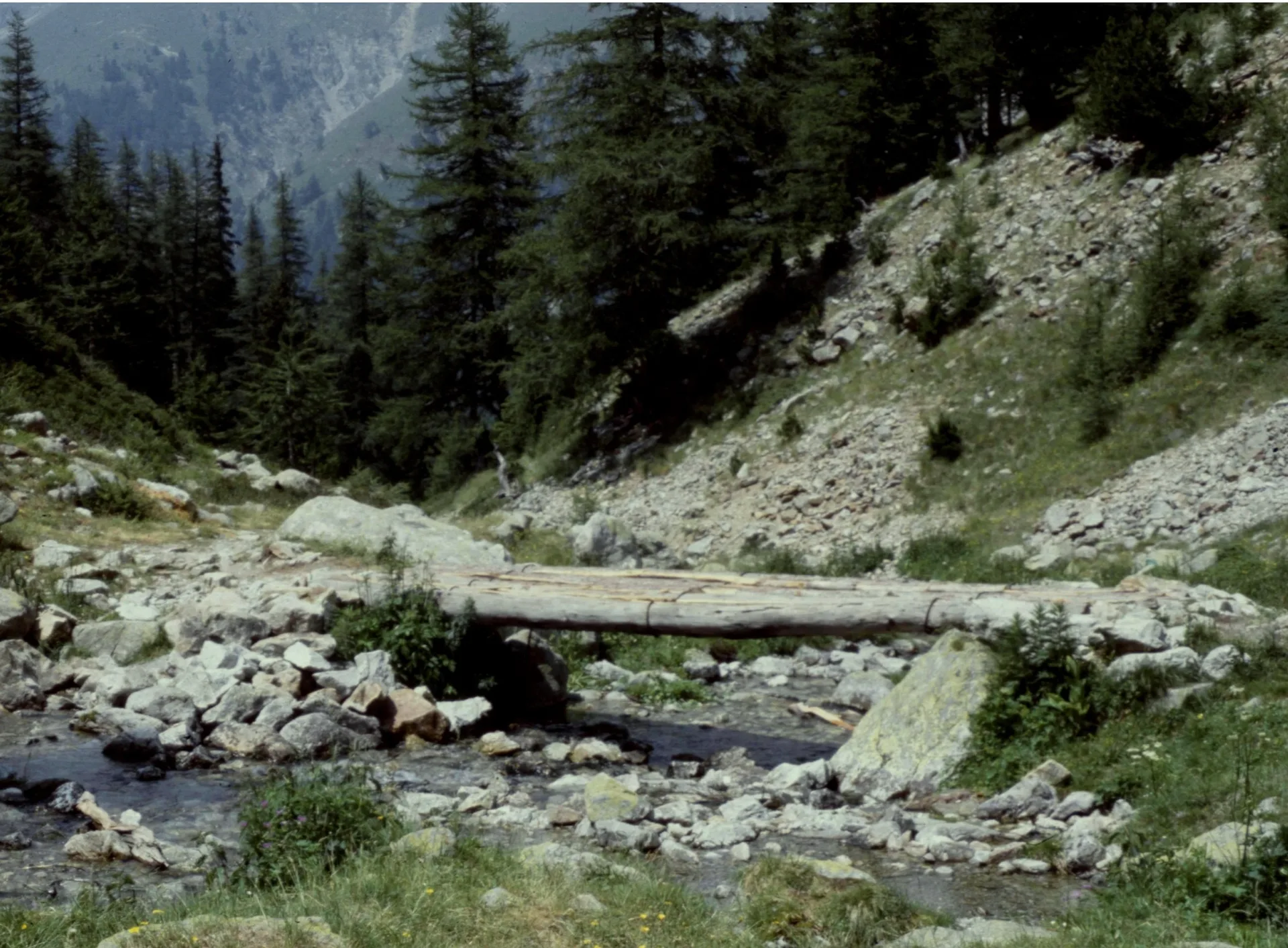 Lacs de Prals à Saint-Martin-Vésubie — À 1,0 km du lac