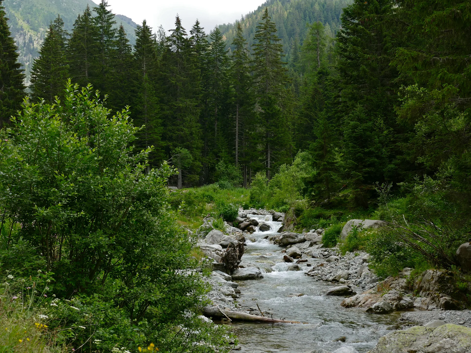 Lacs de Prals à Saint-Martin-Vésubie — À 3,4 km du lac