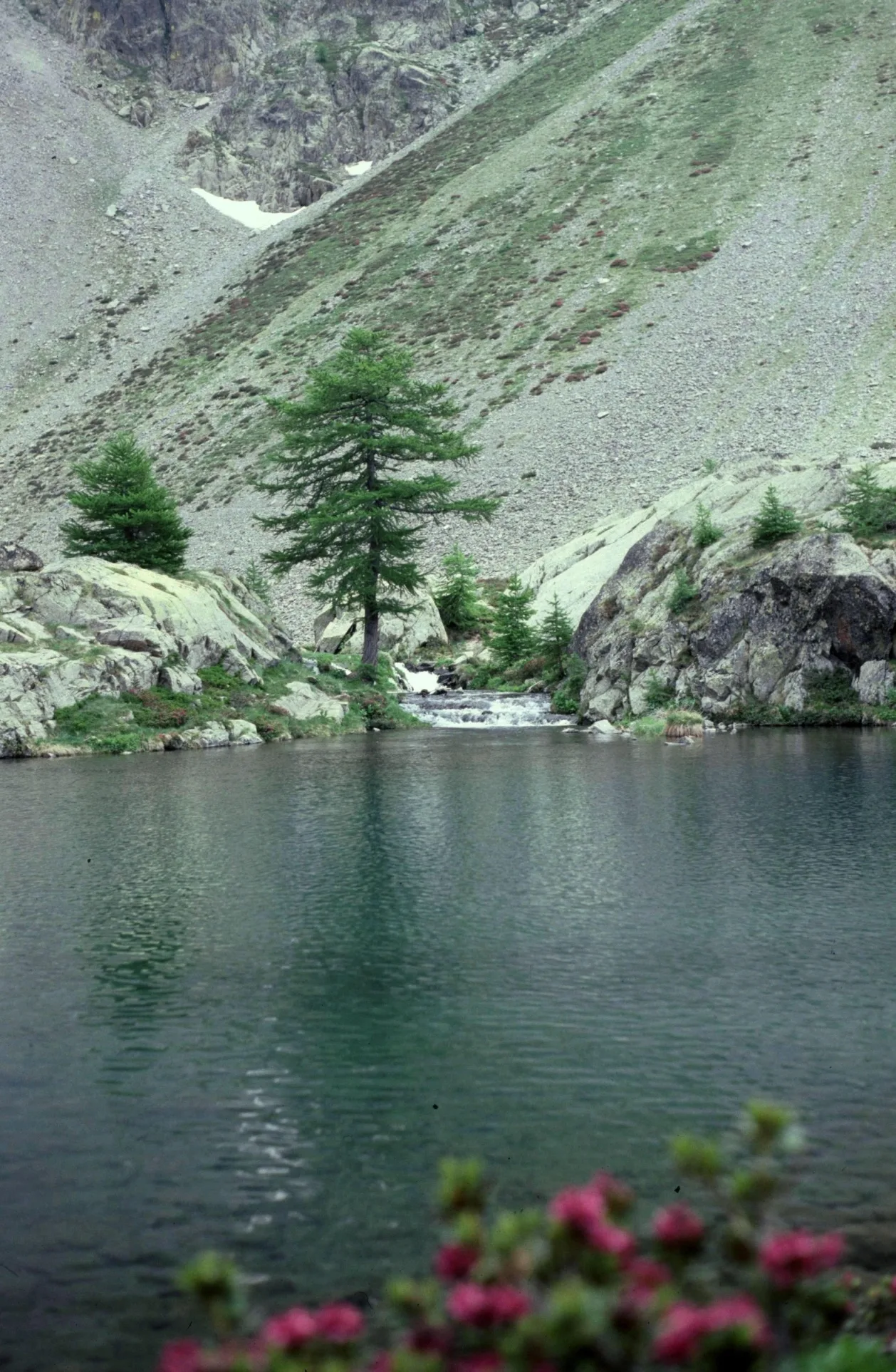 Lacs de Vens à Saint-Étienne-de-Tinée — À 452 m du lac