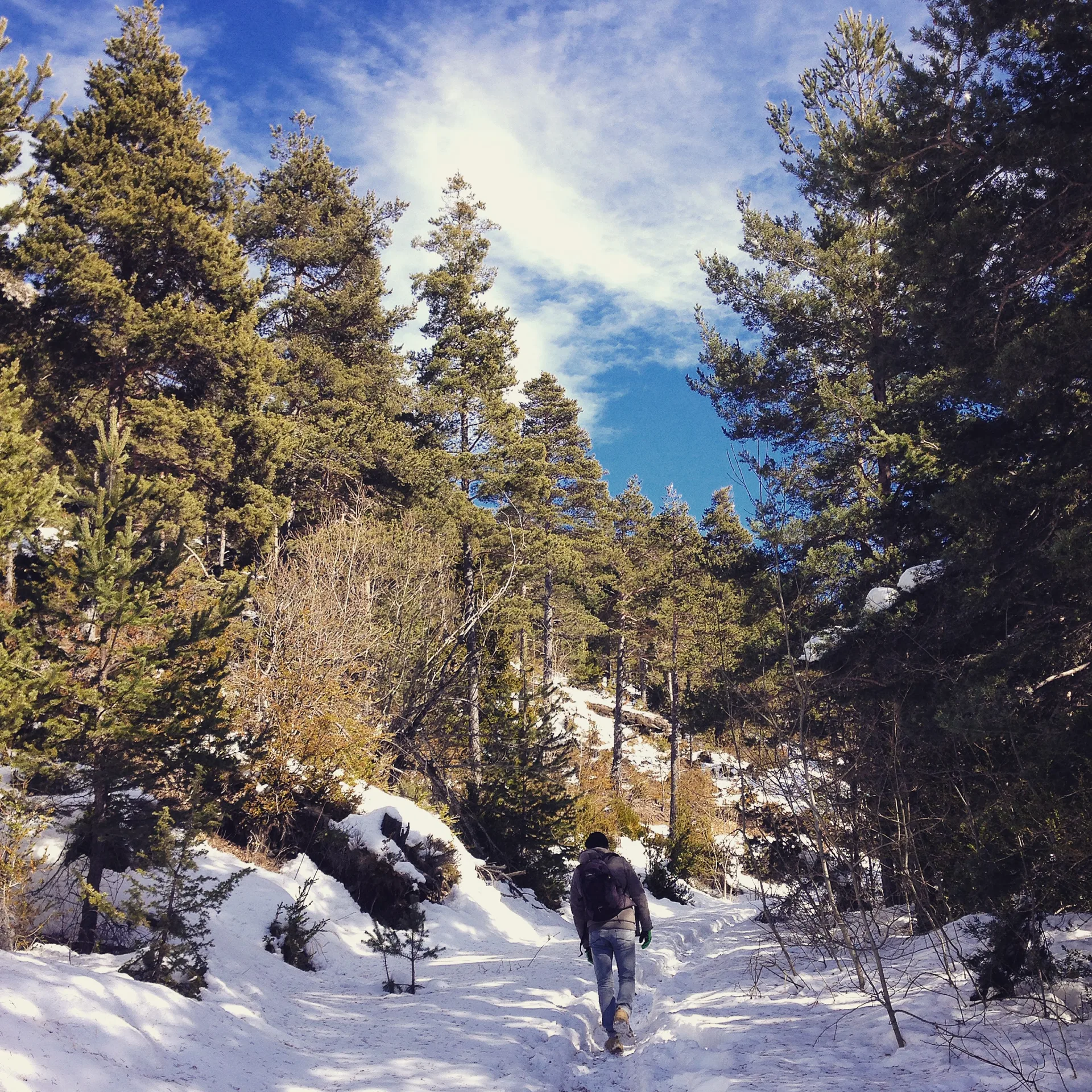 Lacs des Millefonts à Valdeblore — À 4,9 km du lac
