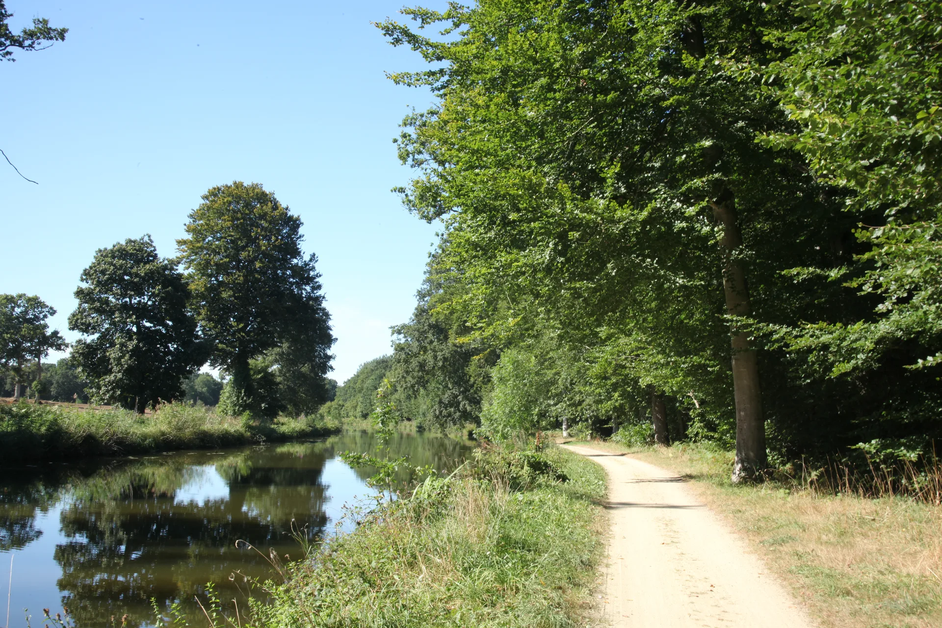 Le Grand Bois Quebriac à Québriac — À 1,4 km du lac