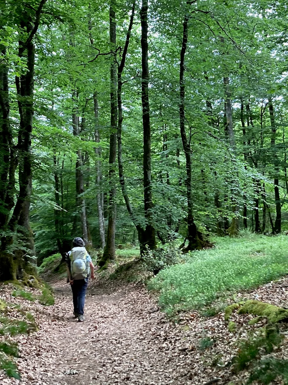 Le Masvaudier à Vallière — À 4,2 km du lac