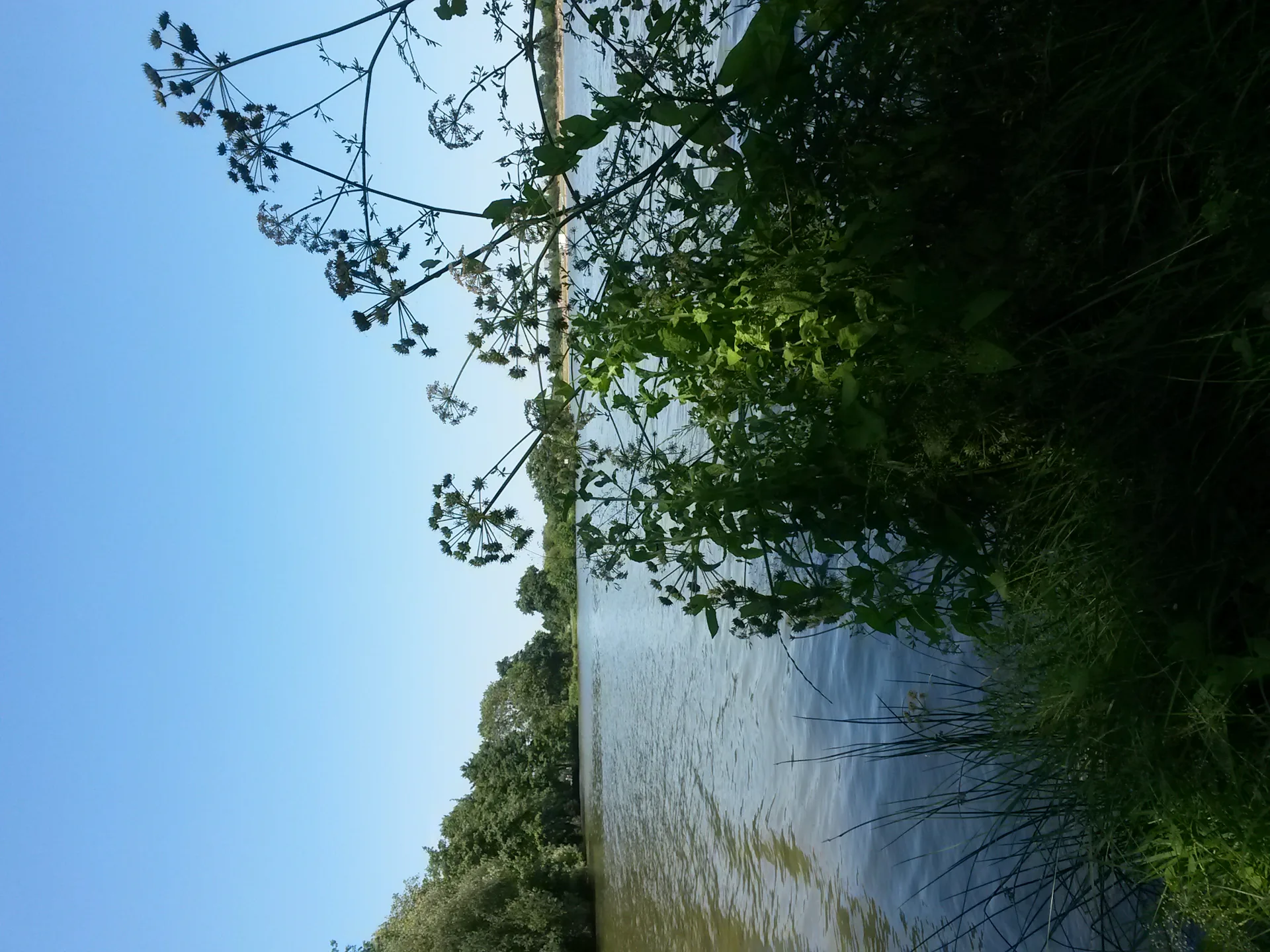 Les etangs d'Apigne à Rennes — À 410 m du lac