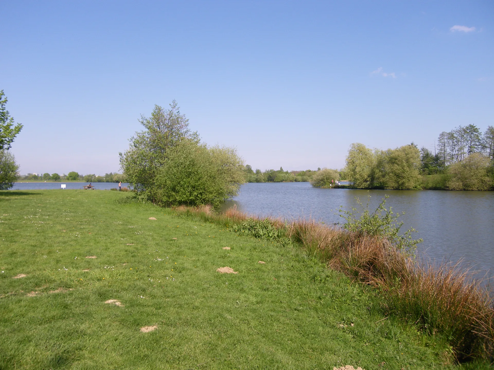 Les etangs d'Apigne à Rennes — À 504 m du lac