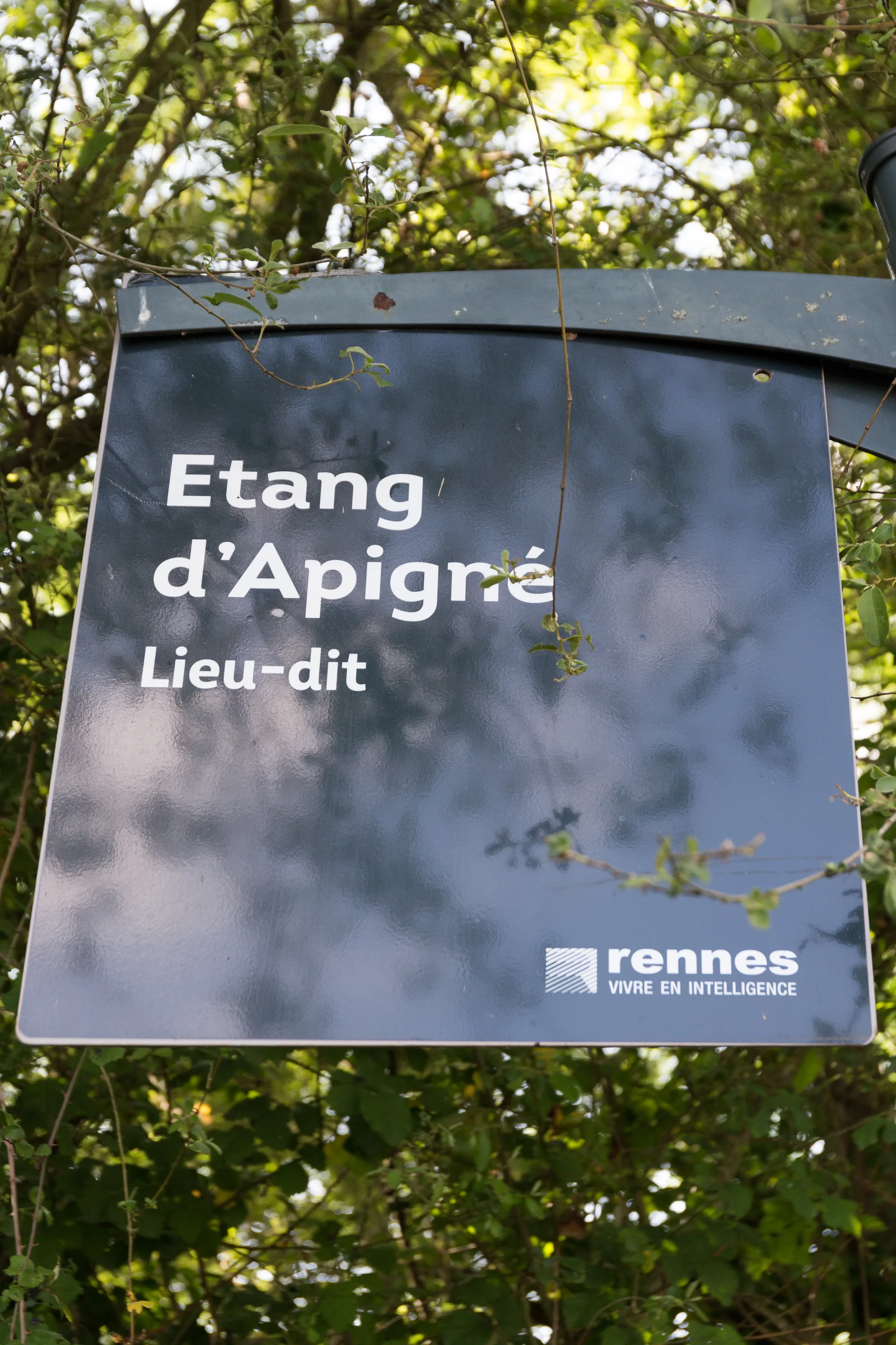 Les etangs d'Apigne à Rennes — À 672 m du lac