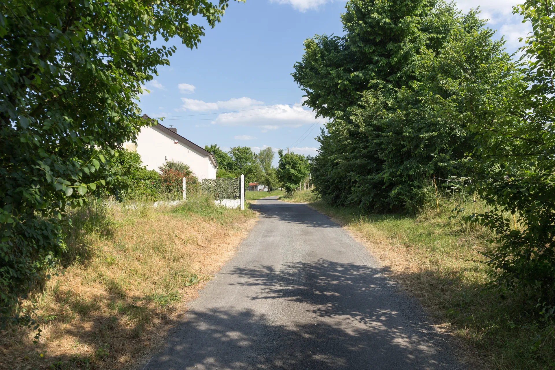Les etangs d'Apigne à Rennes — À 680 m du lac