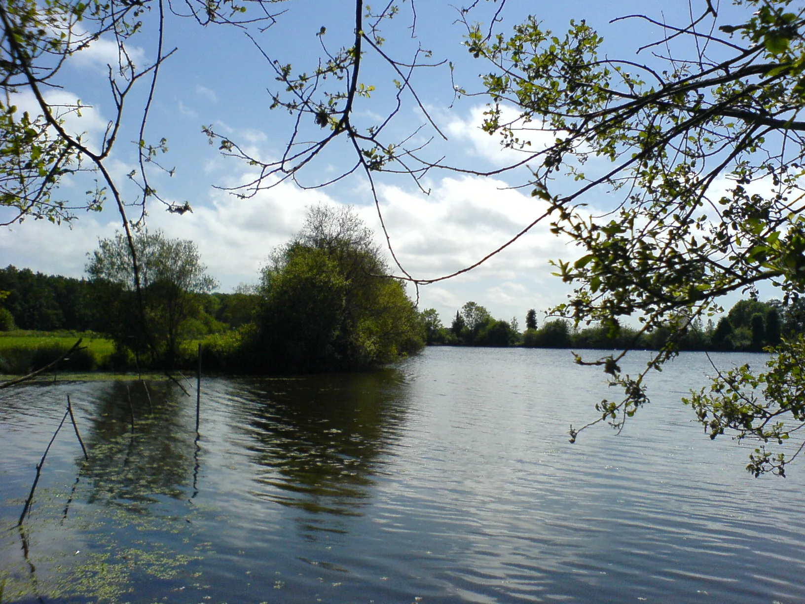Les etangs d'Apigne à Rennes — À 1,3 km du lac