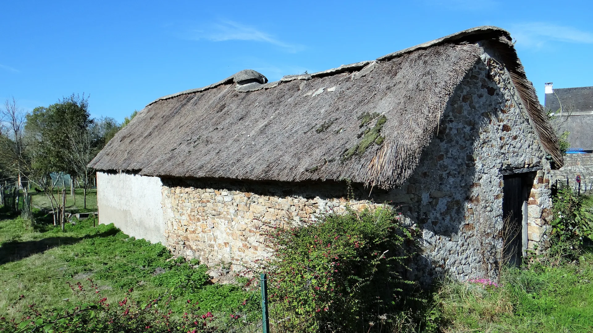 Marais de Grande Brière à Saint-Joachim — Sur le lac