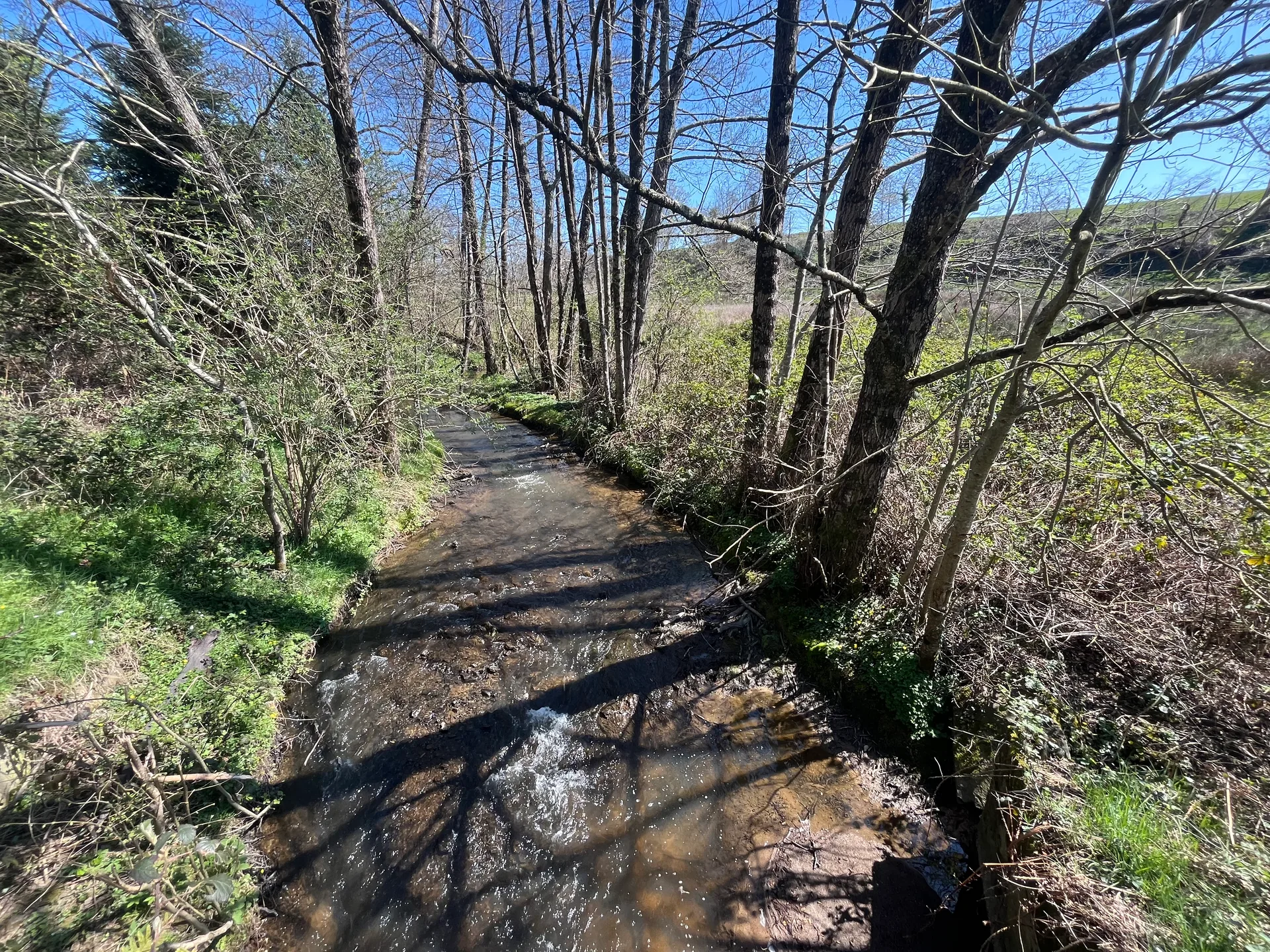 Mouhet l'Aumône à Mouhet — À 2,4 km du lac