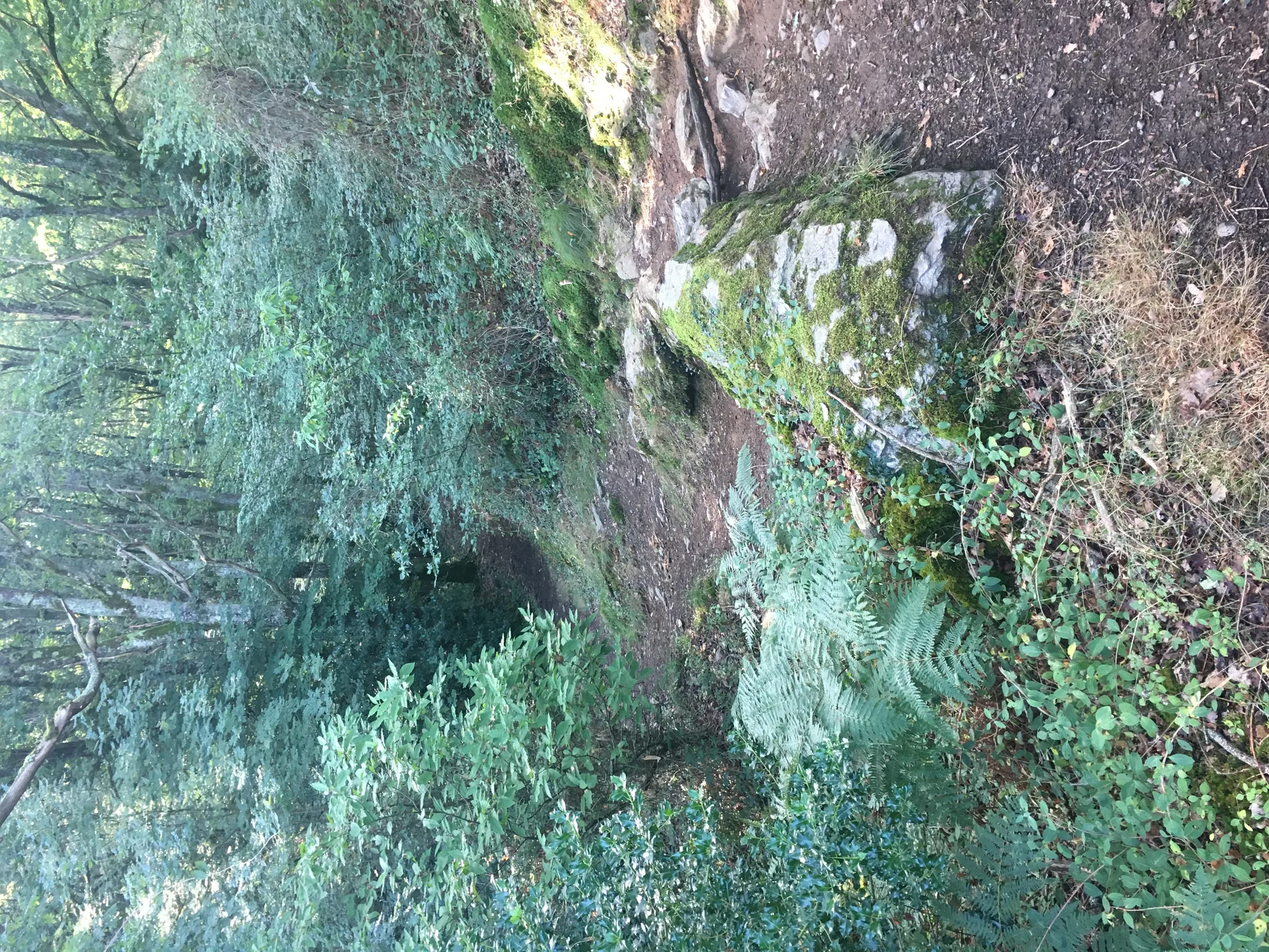 Pillemongin à Crozant — À 296 m du lac