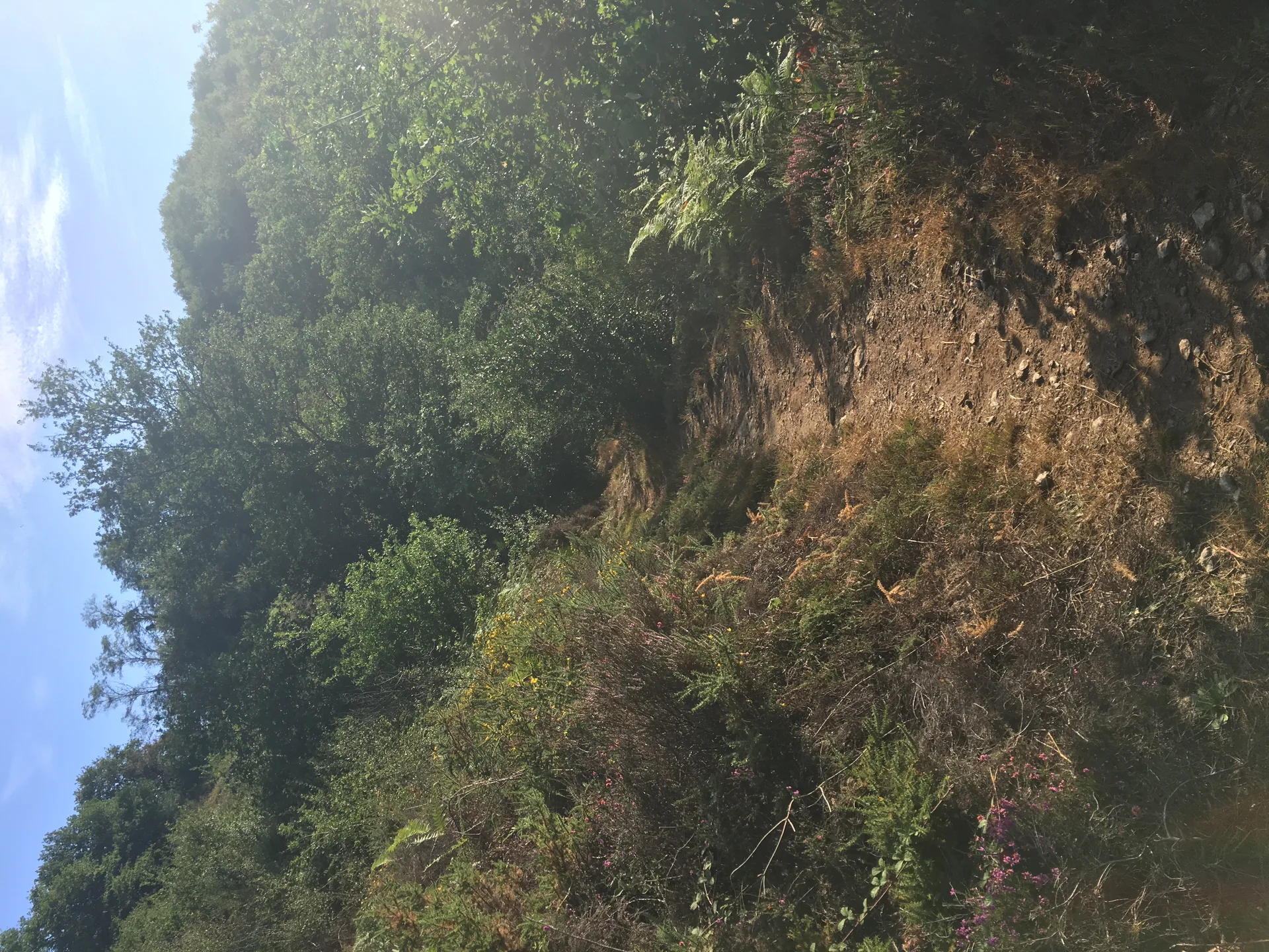 Pilmongin à Crozant — À 259 m du lac