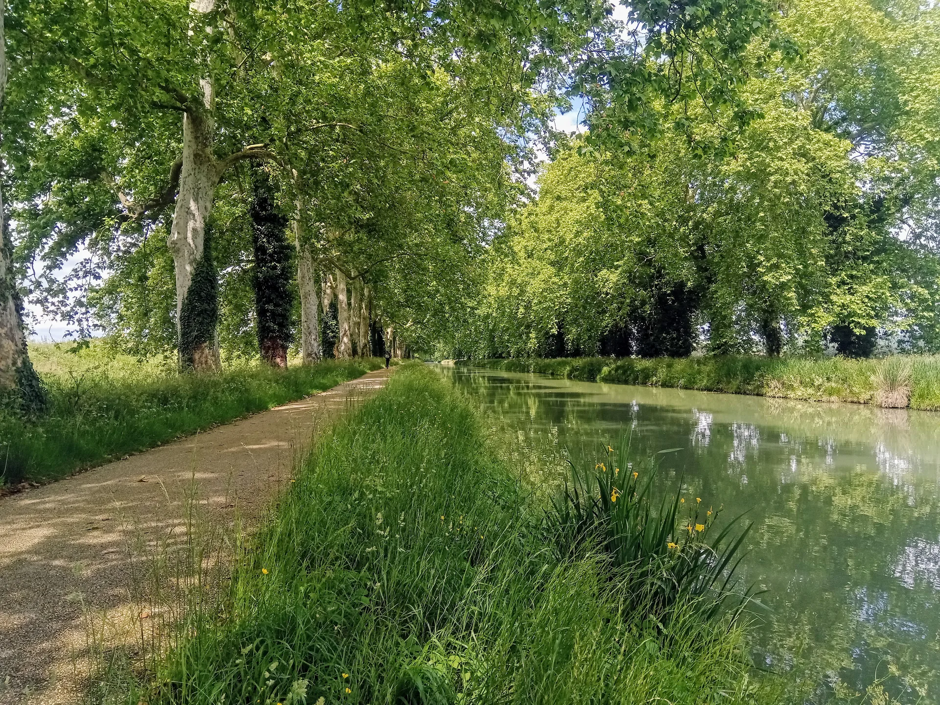 Plan d'eau confluent Tarn et Garonne à Malause — À 1,6 km du lac