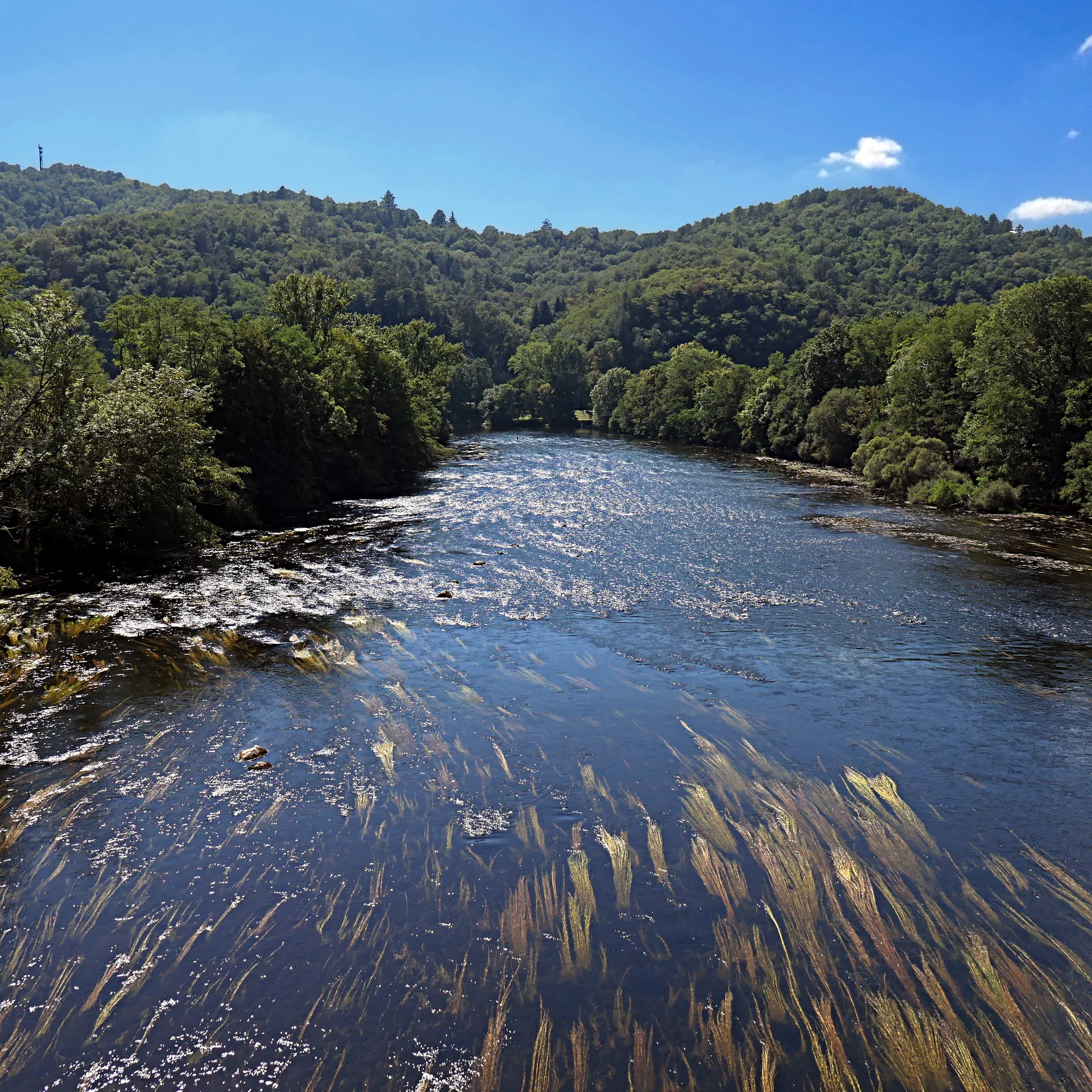 Plan d'eau d'Argentat à Argentat-sur-Dordogne — À 331 m du lac