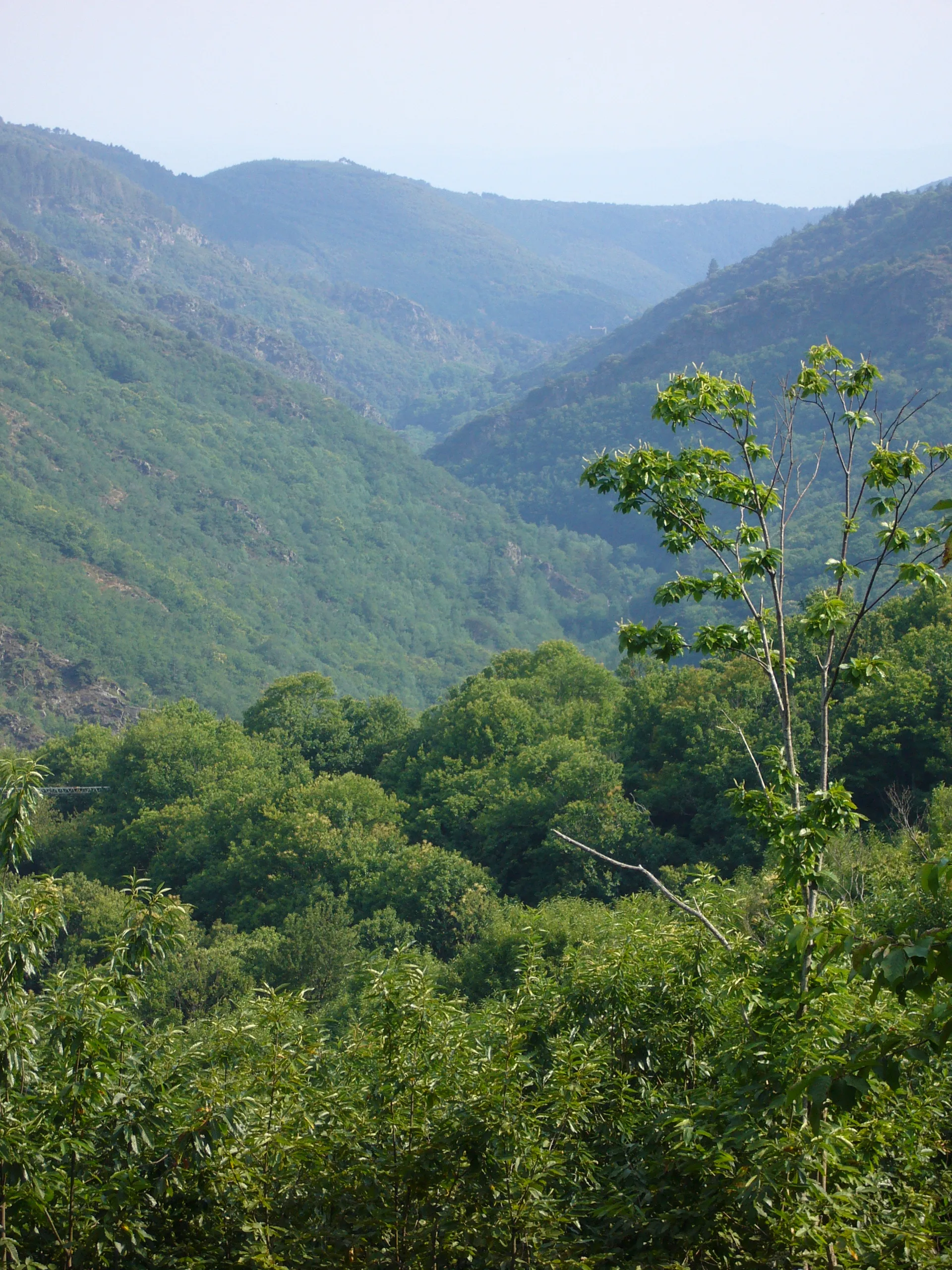 Plan d'eau de Albine à Albine — À 4,9 km du lac
