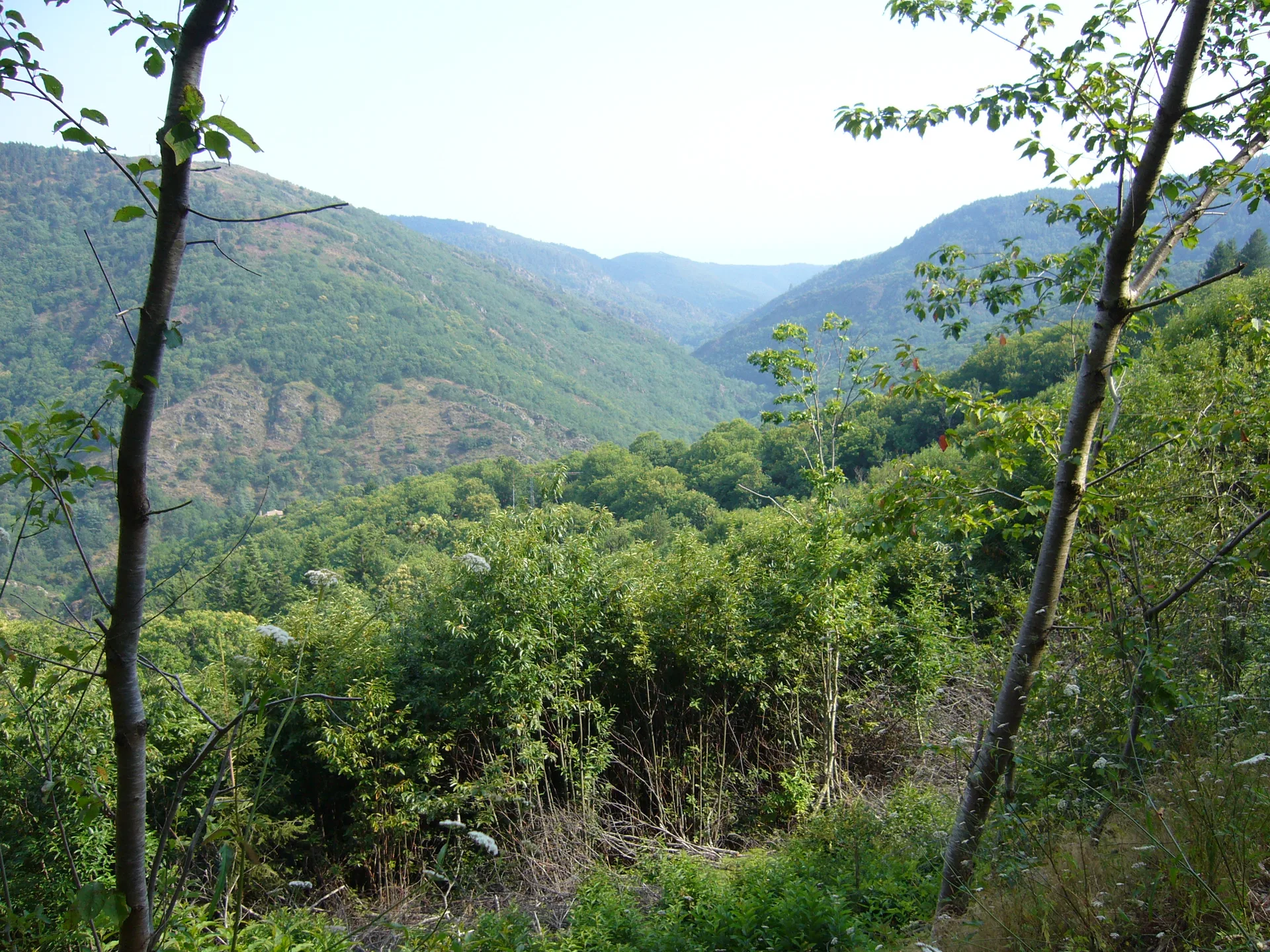 Plan d'eau de Albine à Albine — À 4,9 km du lac