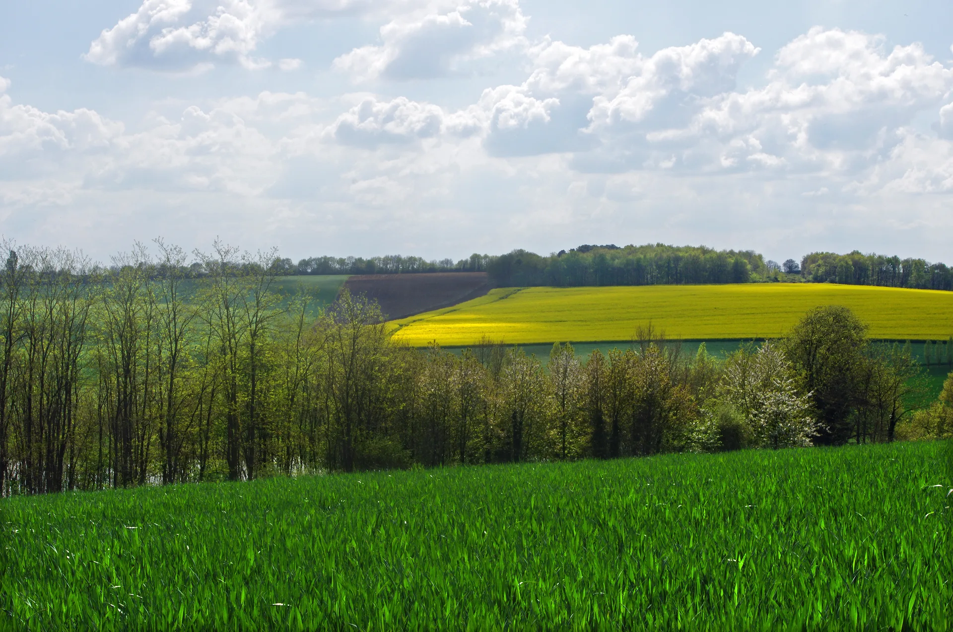 Plan d'Eau de Bridore à Bridoré — À 325 m du lac