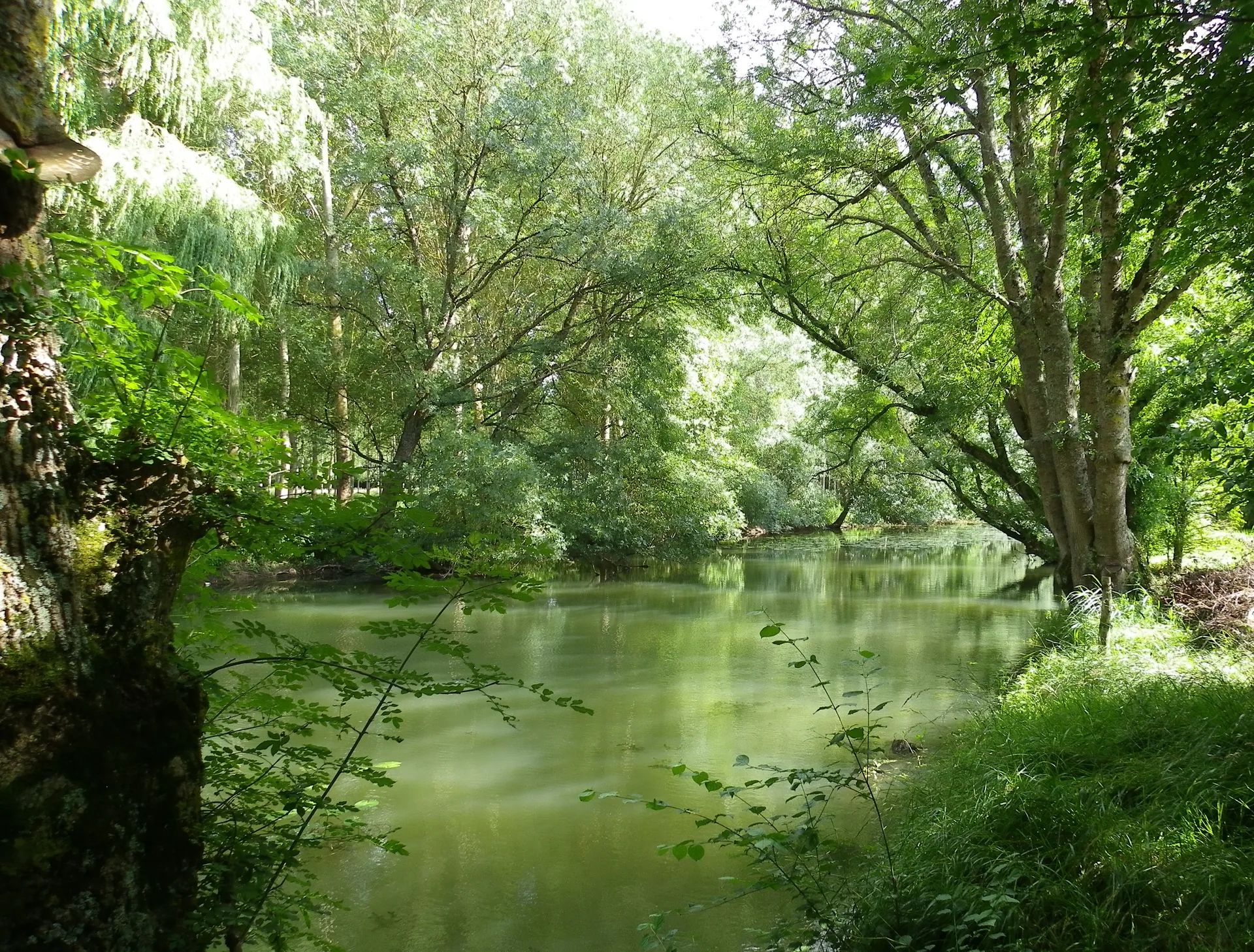 Plan d'Eau de Bridore à Bridoré — À 4,1 km du lac