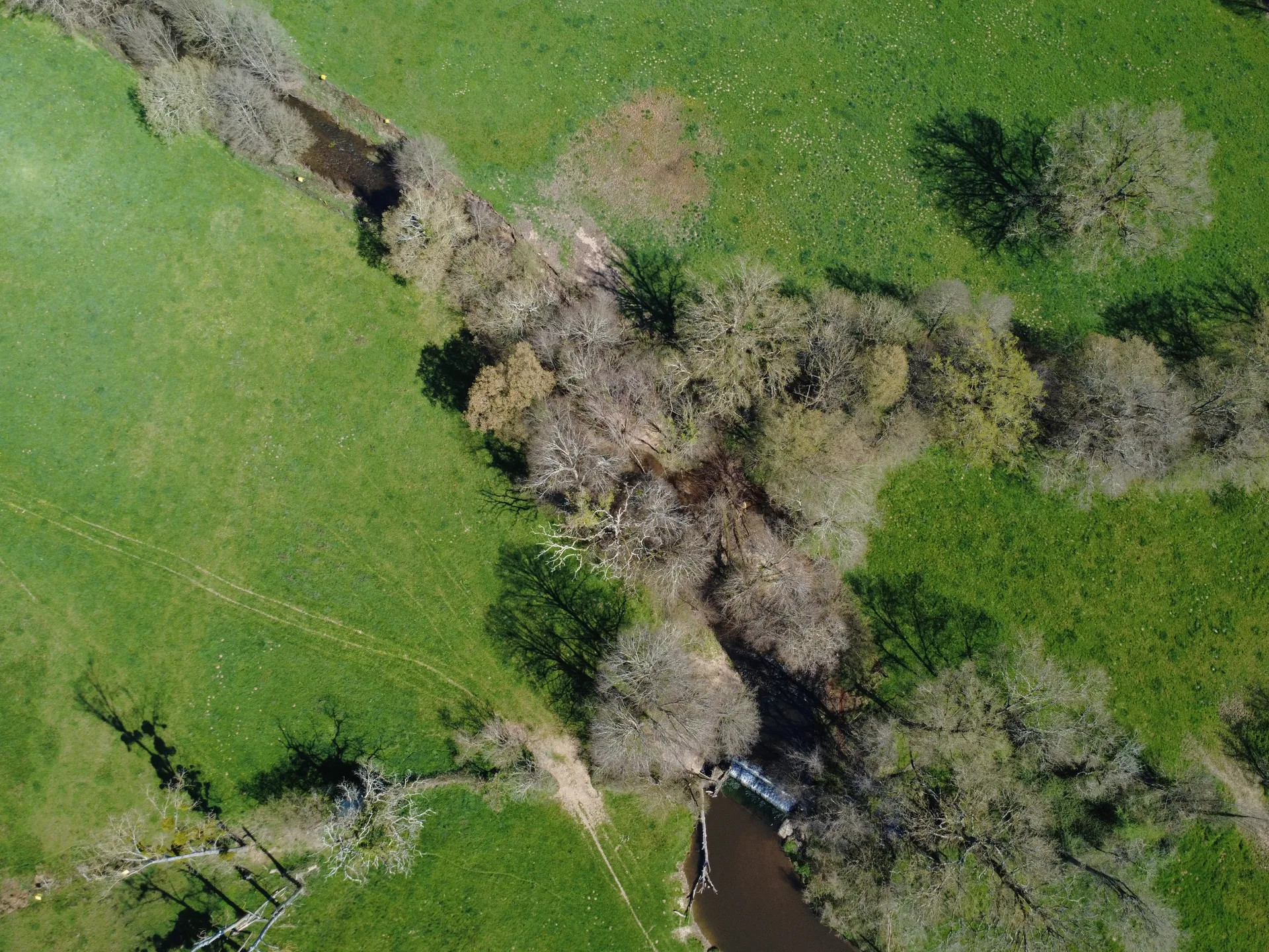 Plan d'eau de Chaillac à Chaillac — À 1,6 km du lac