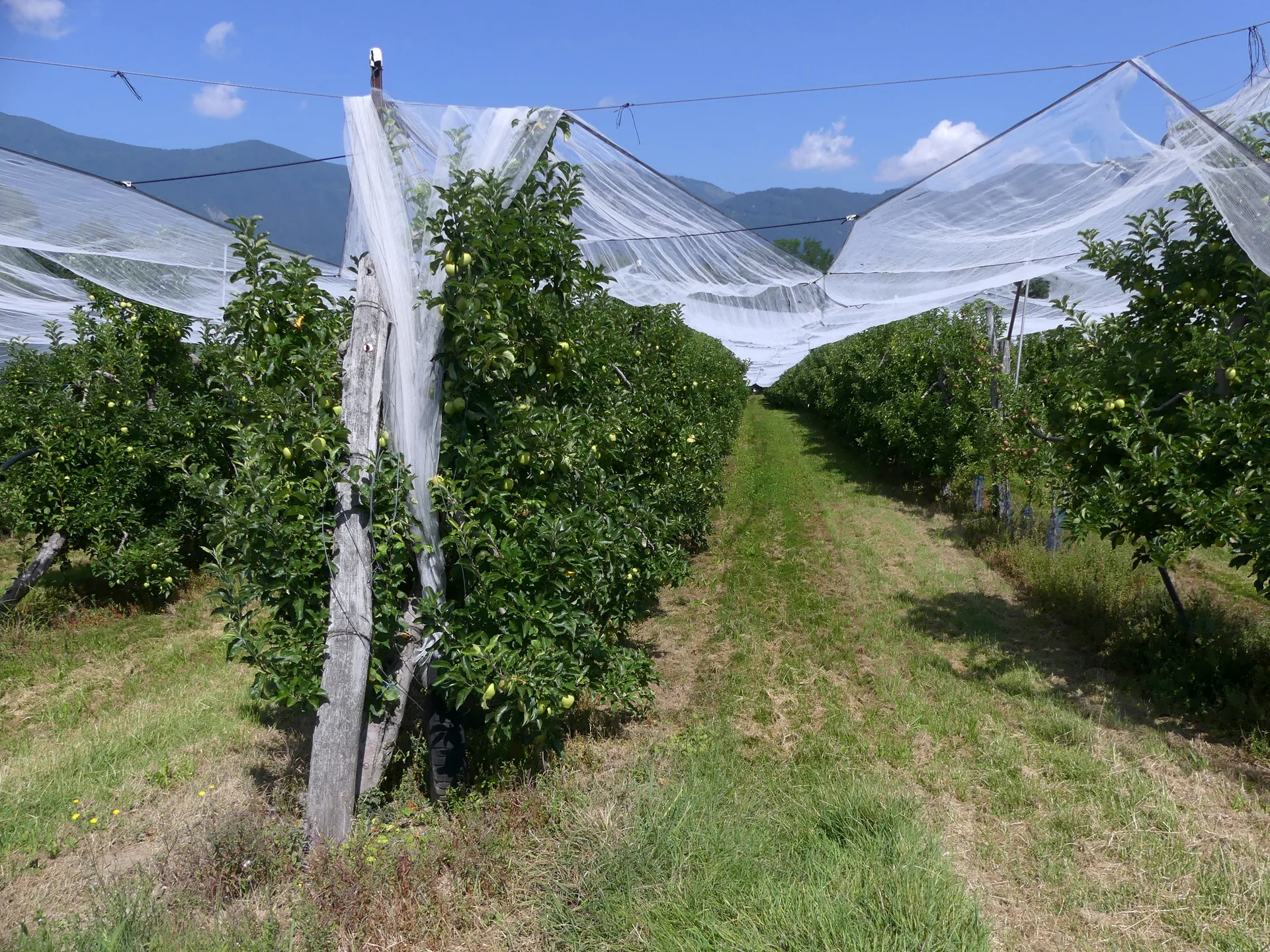 Plan d'eau de Coise Villaret à Coise-Saint-Jean-Pied-Gauthier — À 714 m du lac