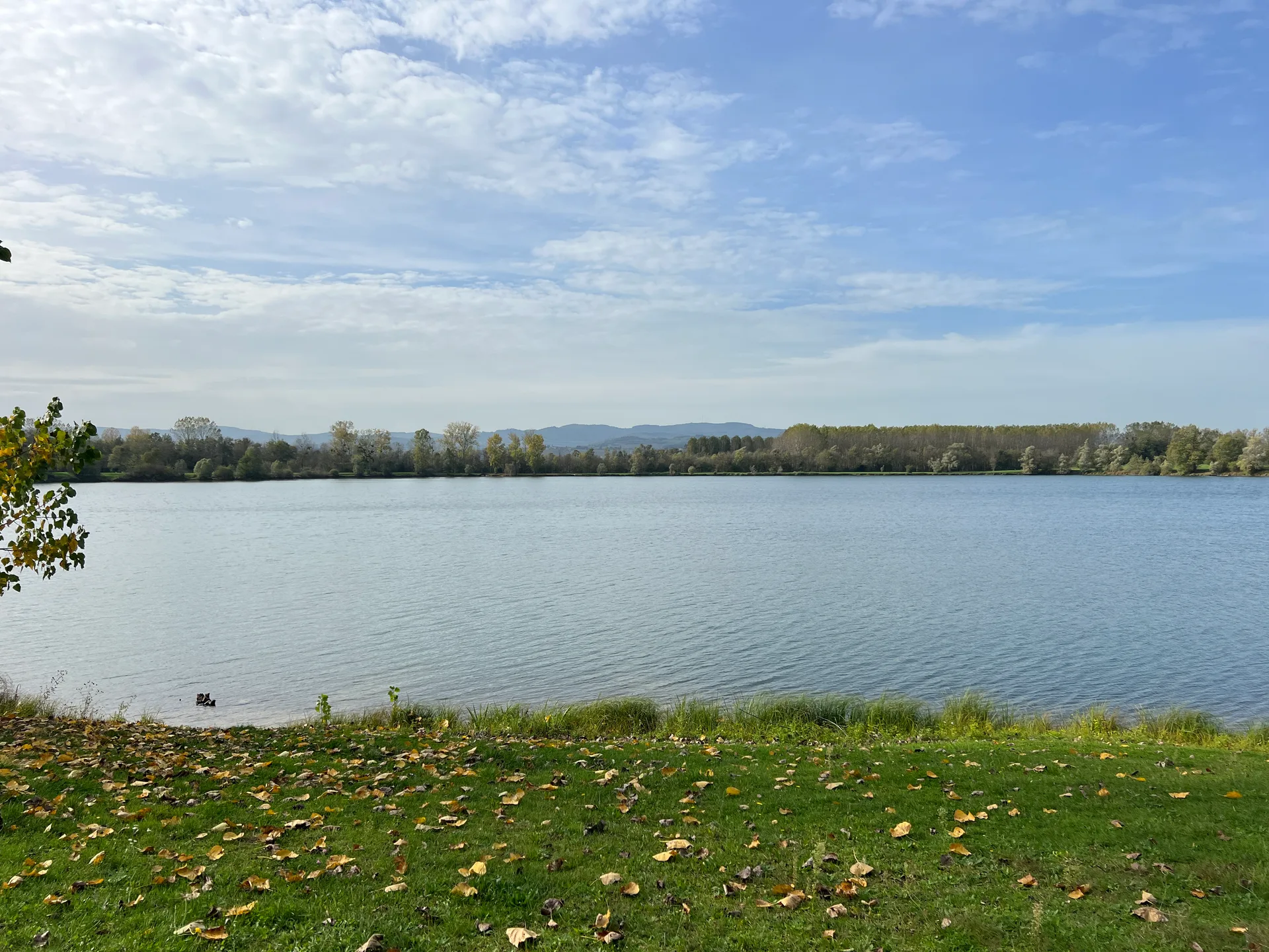 Plan d'eau de Cormoranche à Cormoranche-sur-Saône — Sur le lac