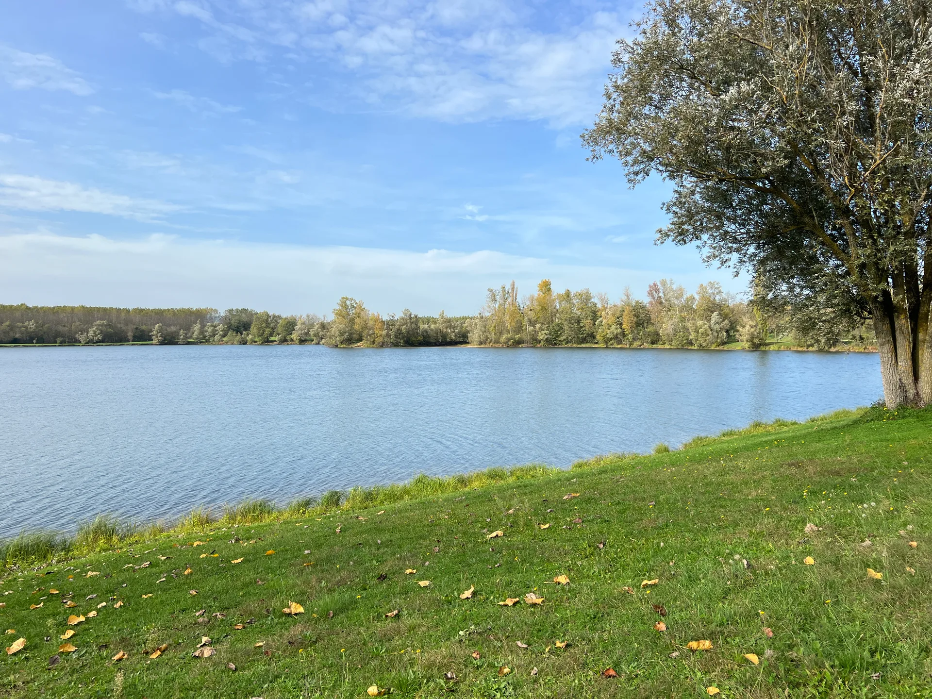 Plan d'eau de Cormoranche à Cormoranche-sur-Saône — Sur le lac