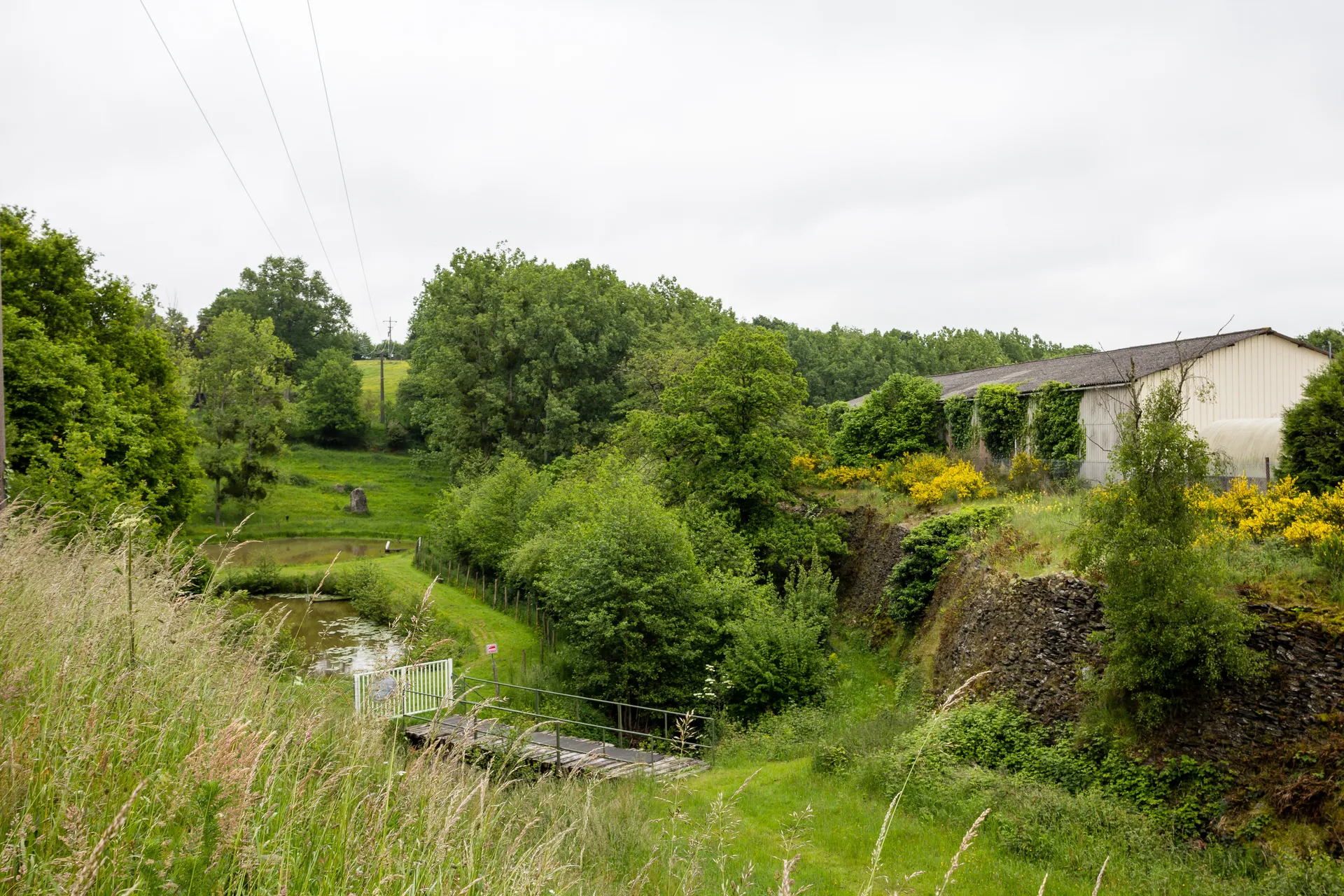 Plan d'eau de Fresne à Renazé — À 556 m du lac