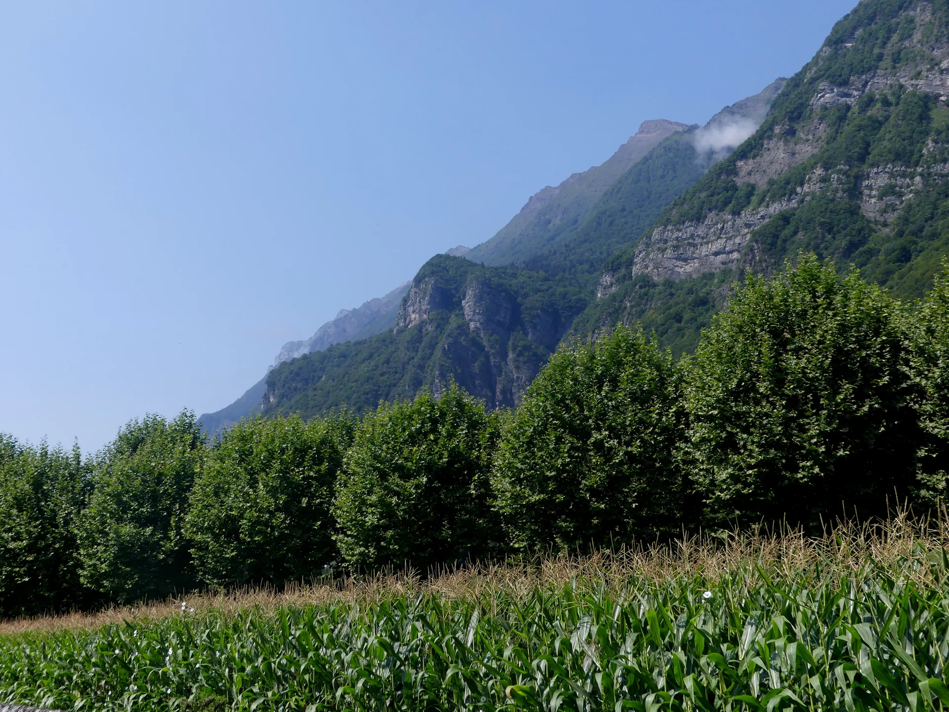 Plan d'eau de Grecy à Montailleur — À 890 m du lac