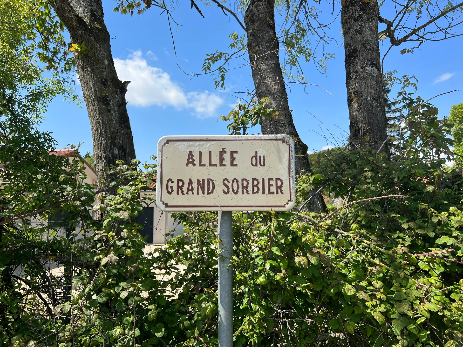 Plan d'eau de la Grange Cotton à Mézériat — À 266 m du lac
