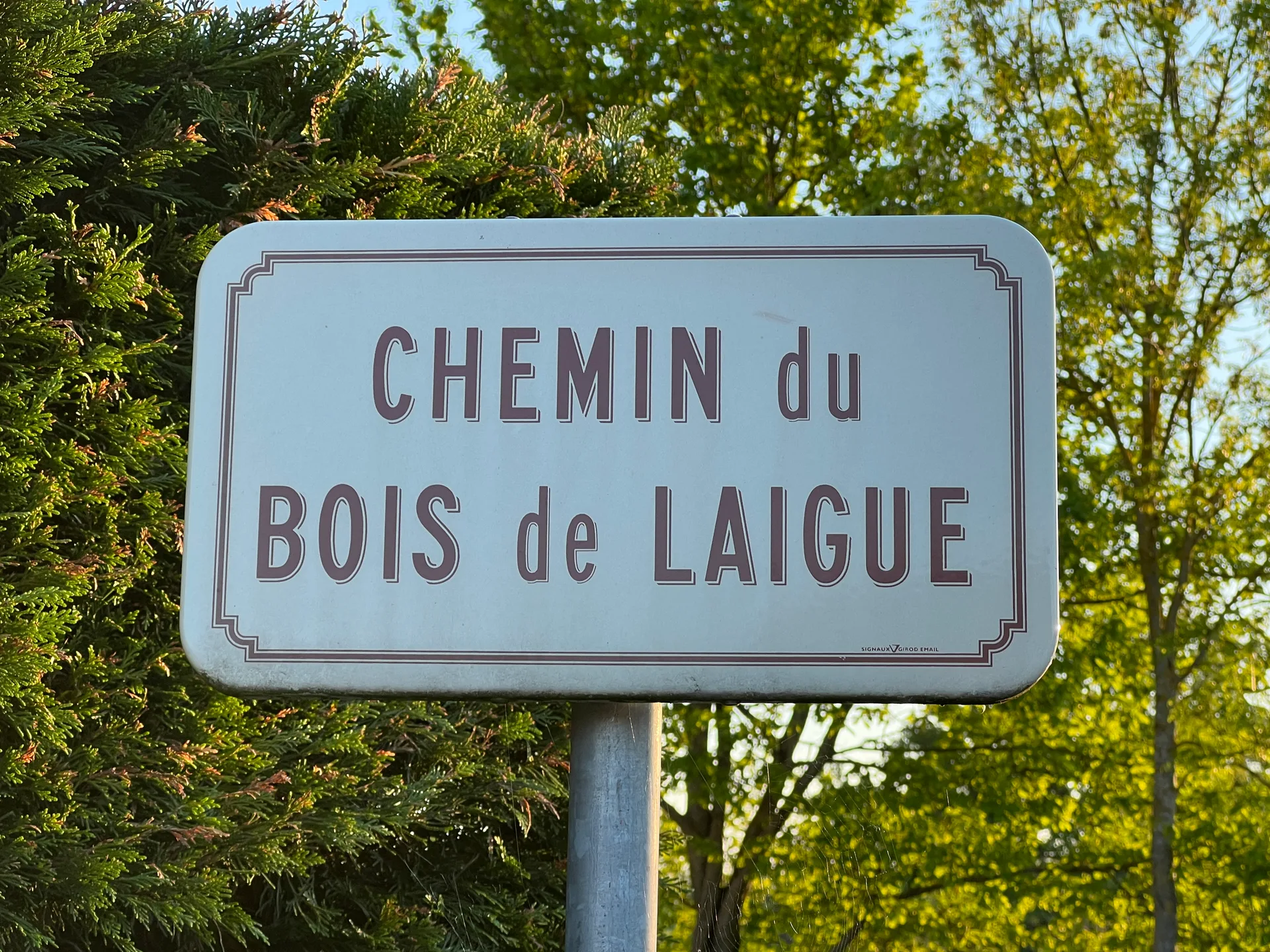 Plan d'eau de la Grange Cotton à Mézériat — Sur le lac