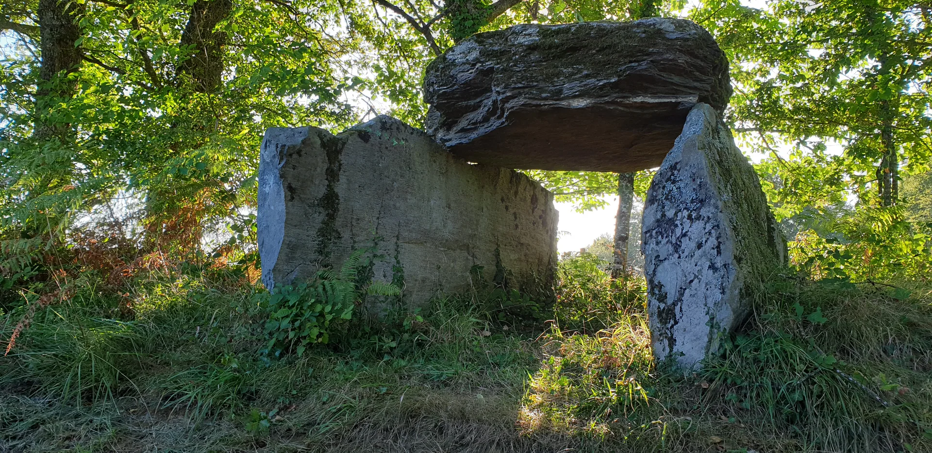 Plan d'eau de La Monnerie de Cussac à Oradour-sur-Vayres — À 2,2 km du lac