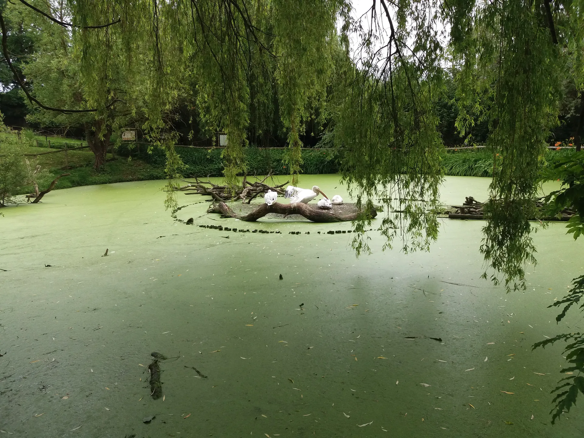 Plan d'eau de la Monnerie à La Flèche — À 1,2 km du lac
