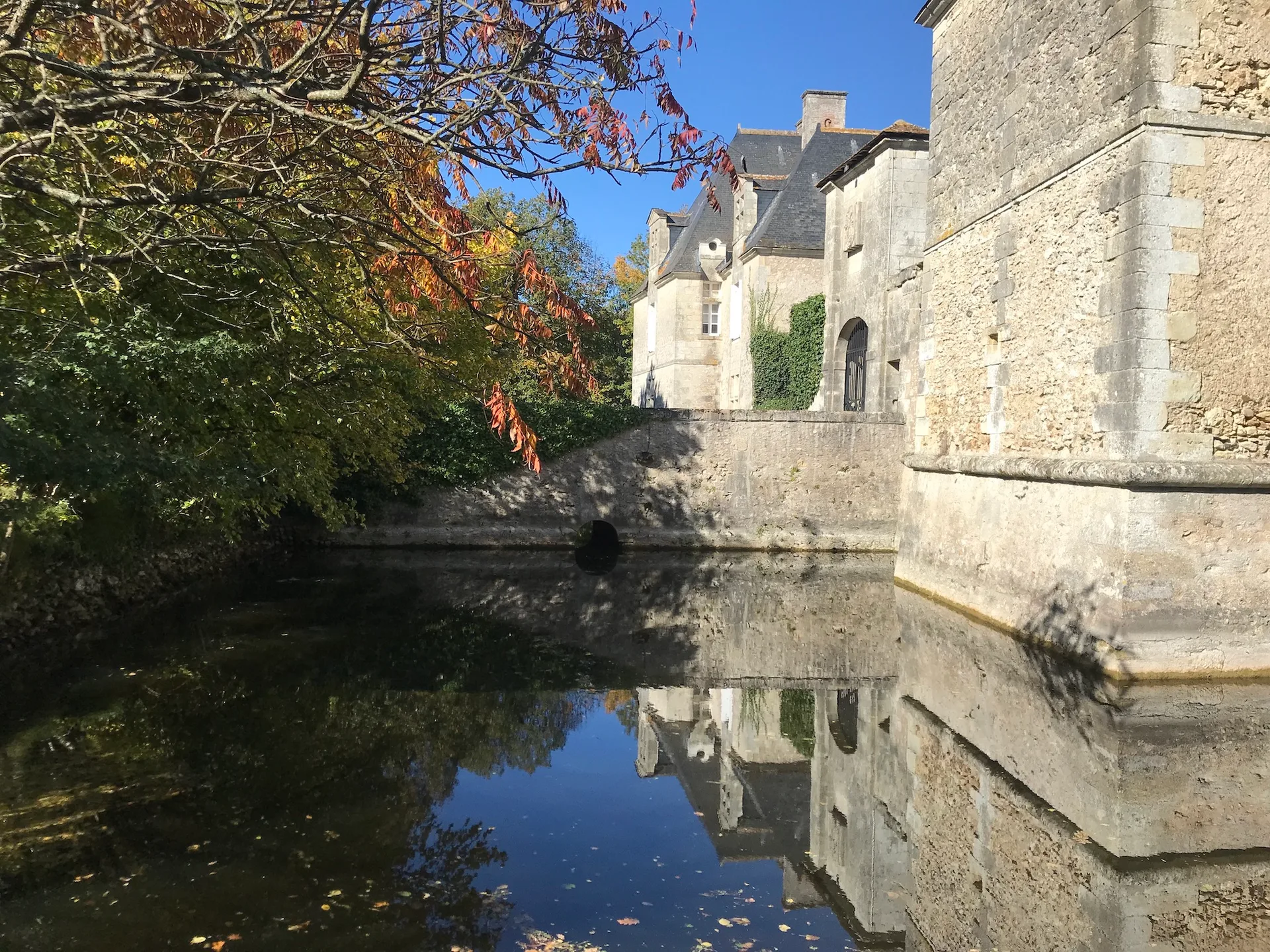 Plan d'eau de la Rainiere à Neuillé-Pont-Pierre — À 4,5 km du lac
