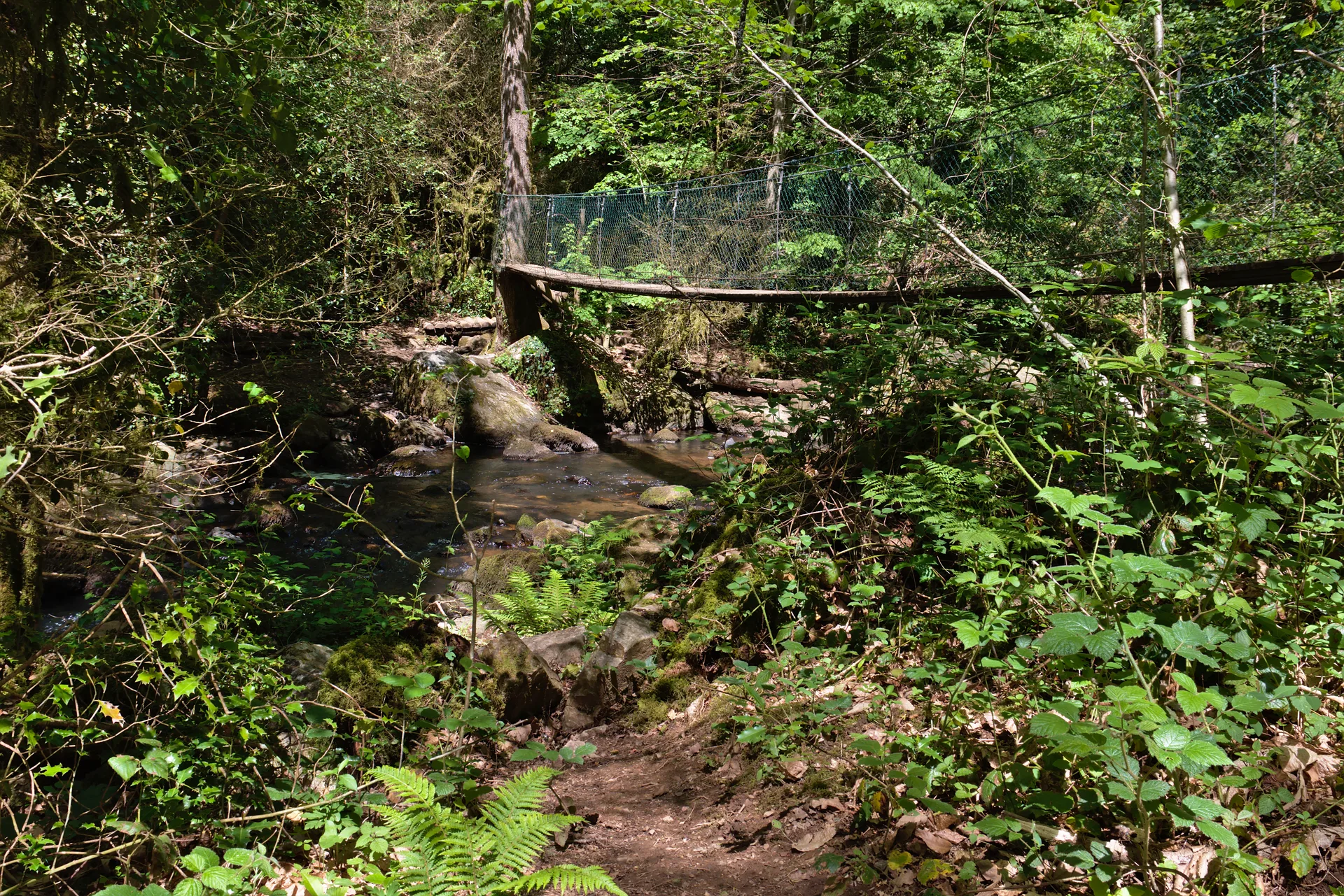 Plan d'eau de La Roque à Terre-de-Bancalié — À 1,9 km du lac