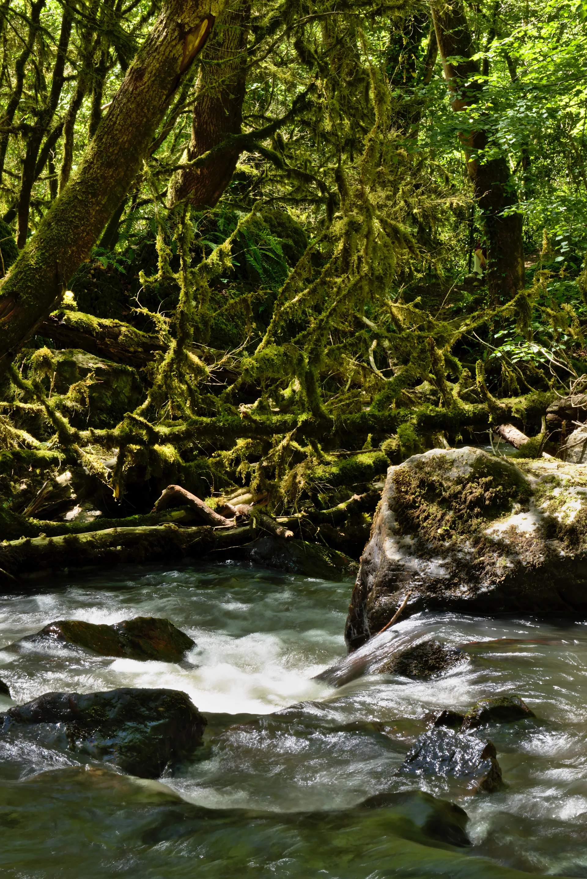 Plan d'eau de La Roque à Terre-de-Bancalié — À 1,9 km du lac