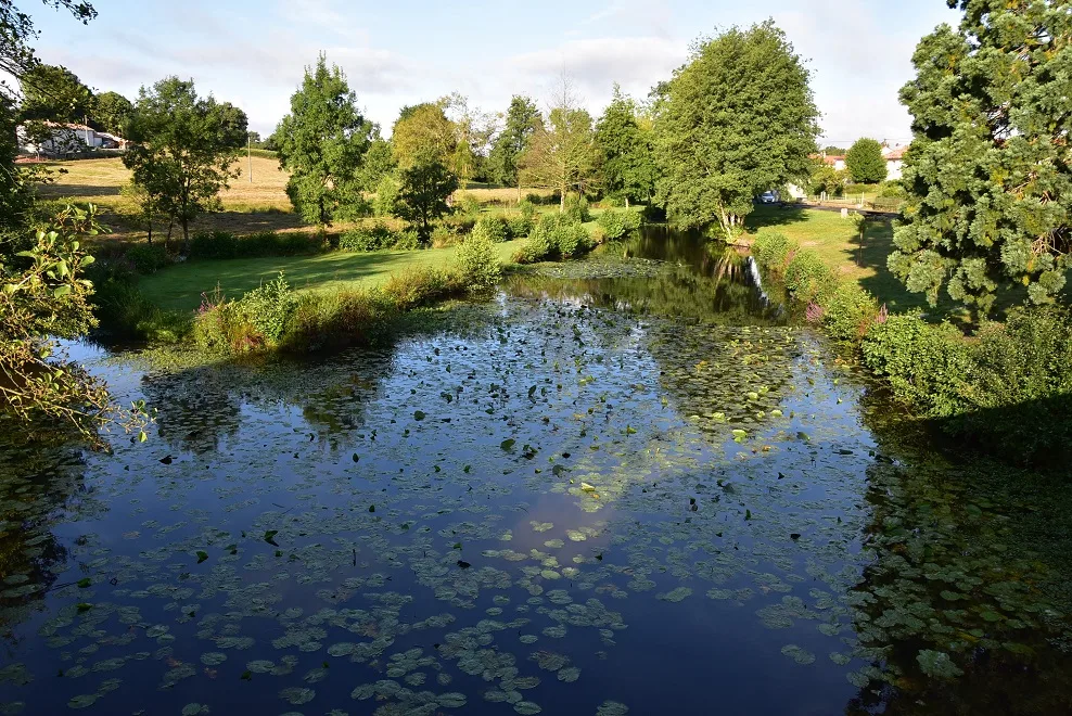 Plan d'eau de la Verniere à Le Tallud — À 3,5 km du lac