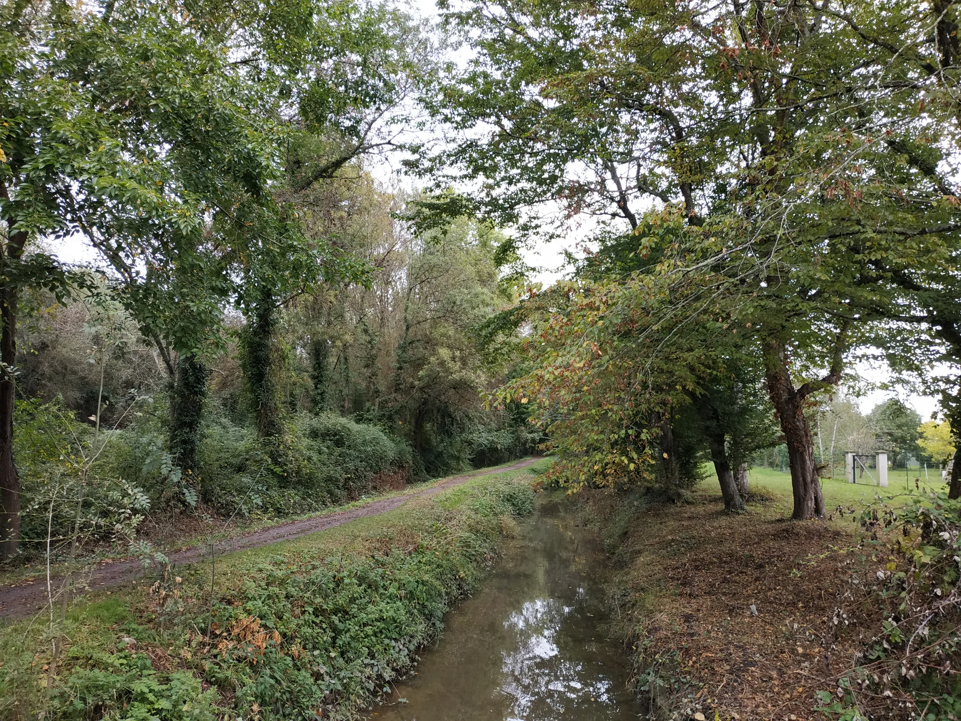 Plan d'Eau de Libourne à Libourne — À 733 m du lac