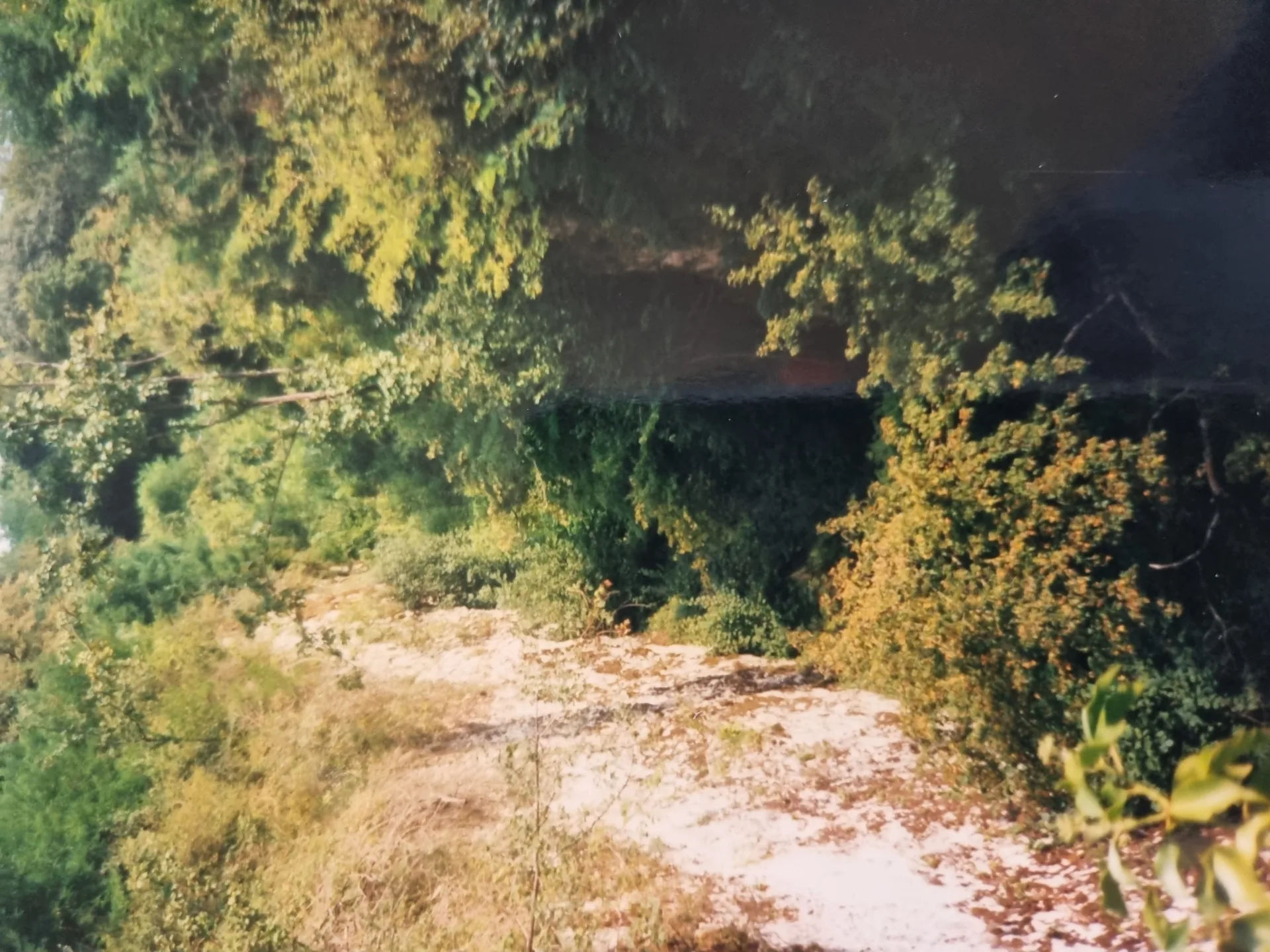 Plan d'eau de Marnay à Marnay — À 1,1 km du lac