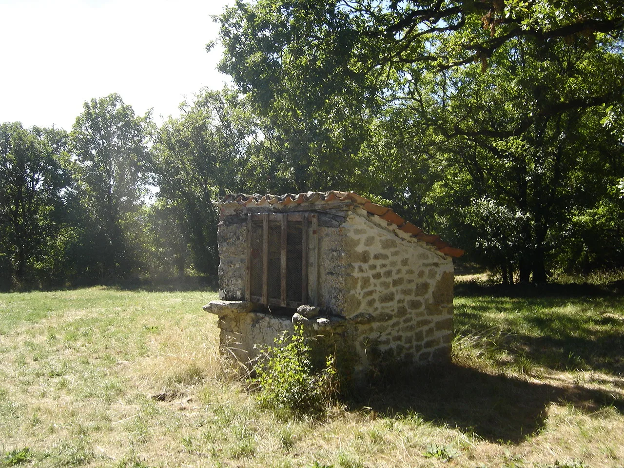Plan d'eau de Montfaucon à Montfaucon — À 3,0 km du lac