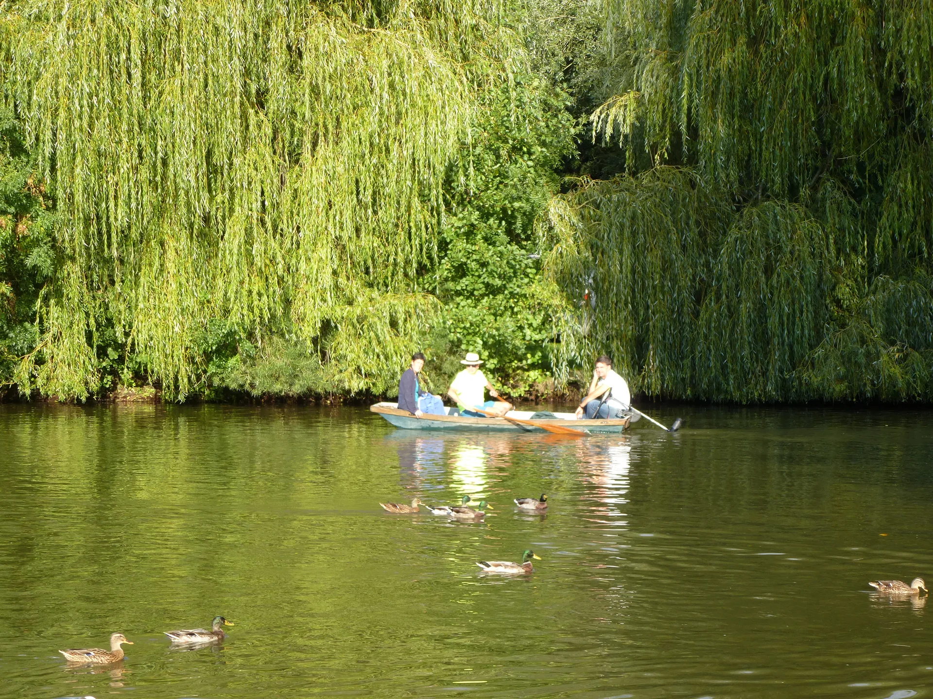 Plan d'eau de Nort sur Erdre à Nort-sur-Erdre — Sur le lac