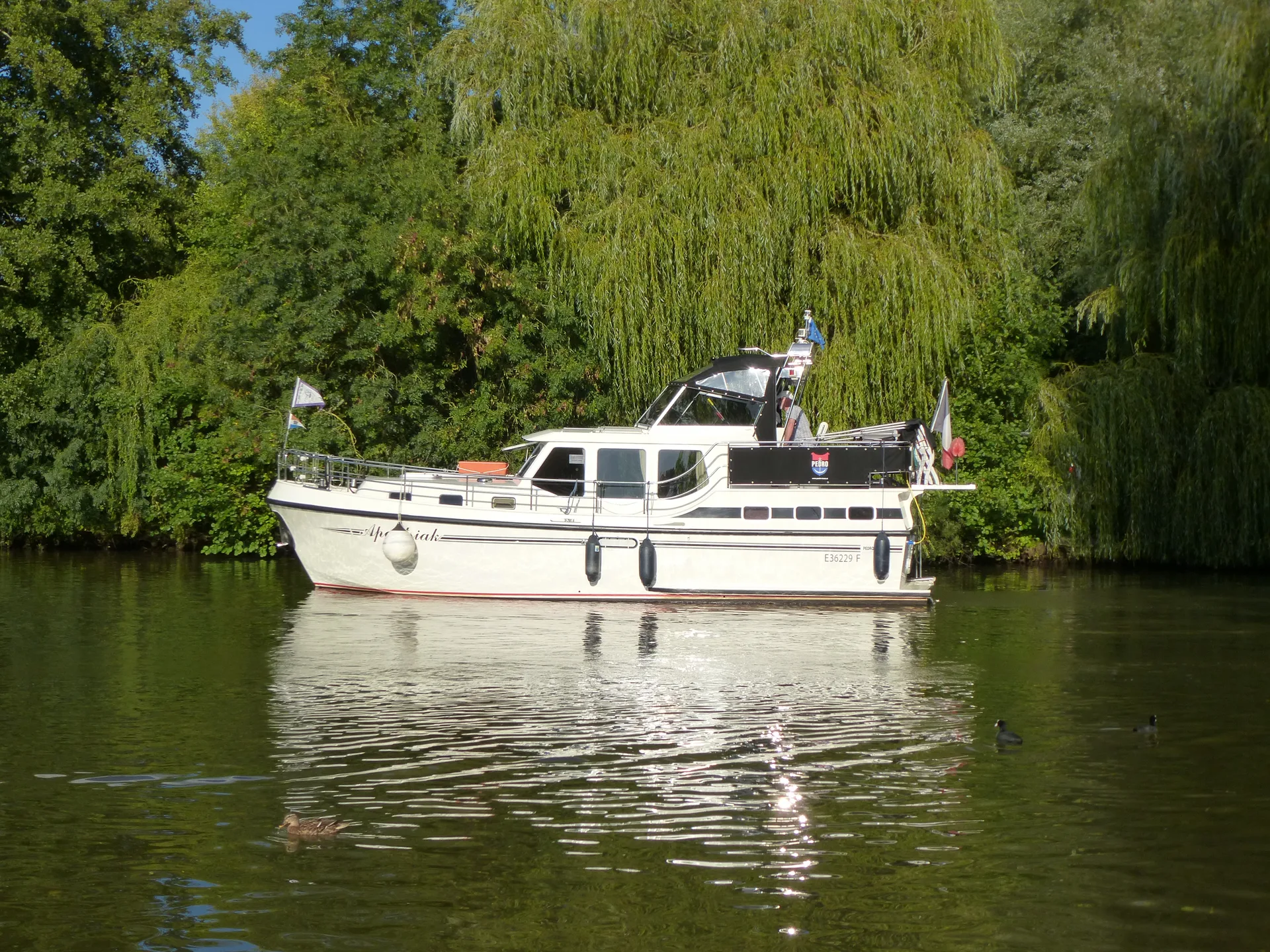 Plan d'eau de Nort sur Erdre à Nort-sur-Erdre — Sur le lac
