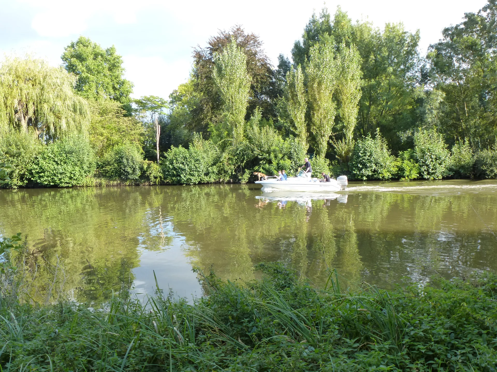 Plan d'eau de Nort sur Erdre à Nort-sur-Erdre — Sur le lac