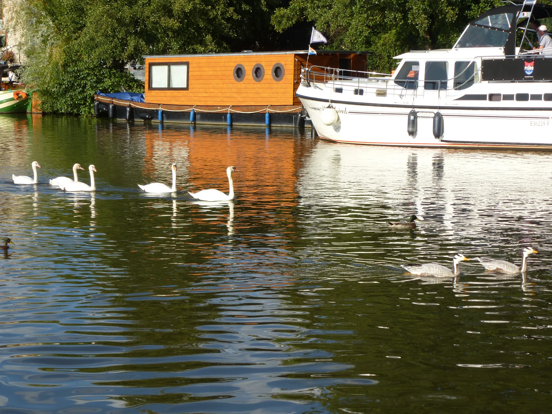 Plan d'eau de Nort sur Erdre à Nort-sur-Erdre — Sur le lac