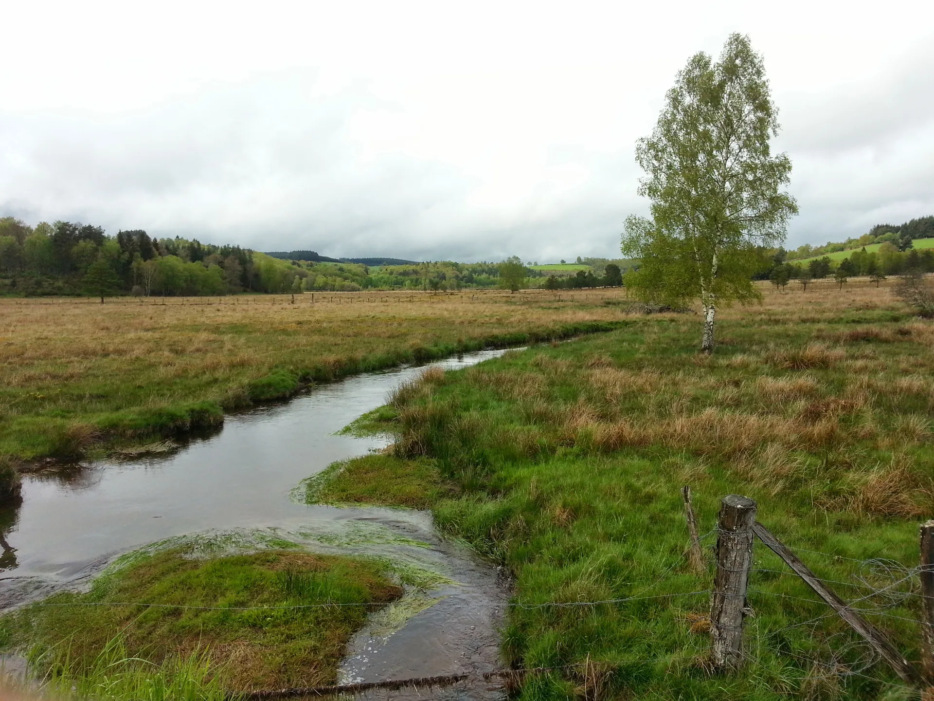 Plan d'eau de Peyrelevade à Peyrelevade — À 3,6 km du lac