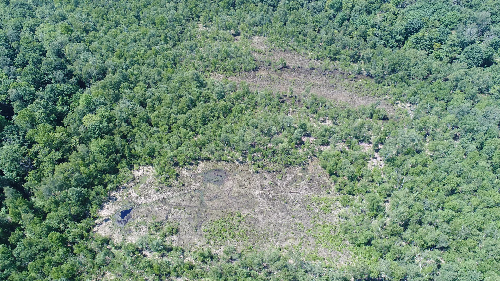 Plan d'eau de Rignovelle à Rignovelle — À 3,5 km du lac