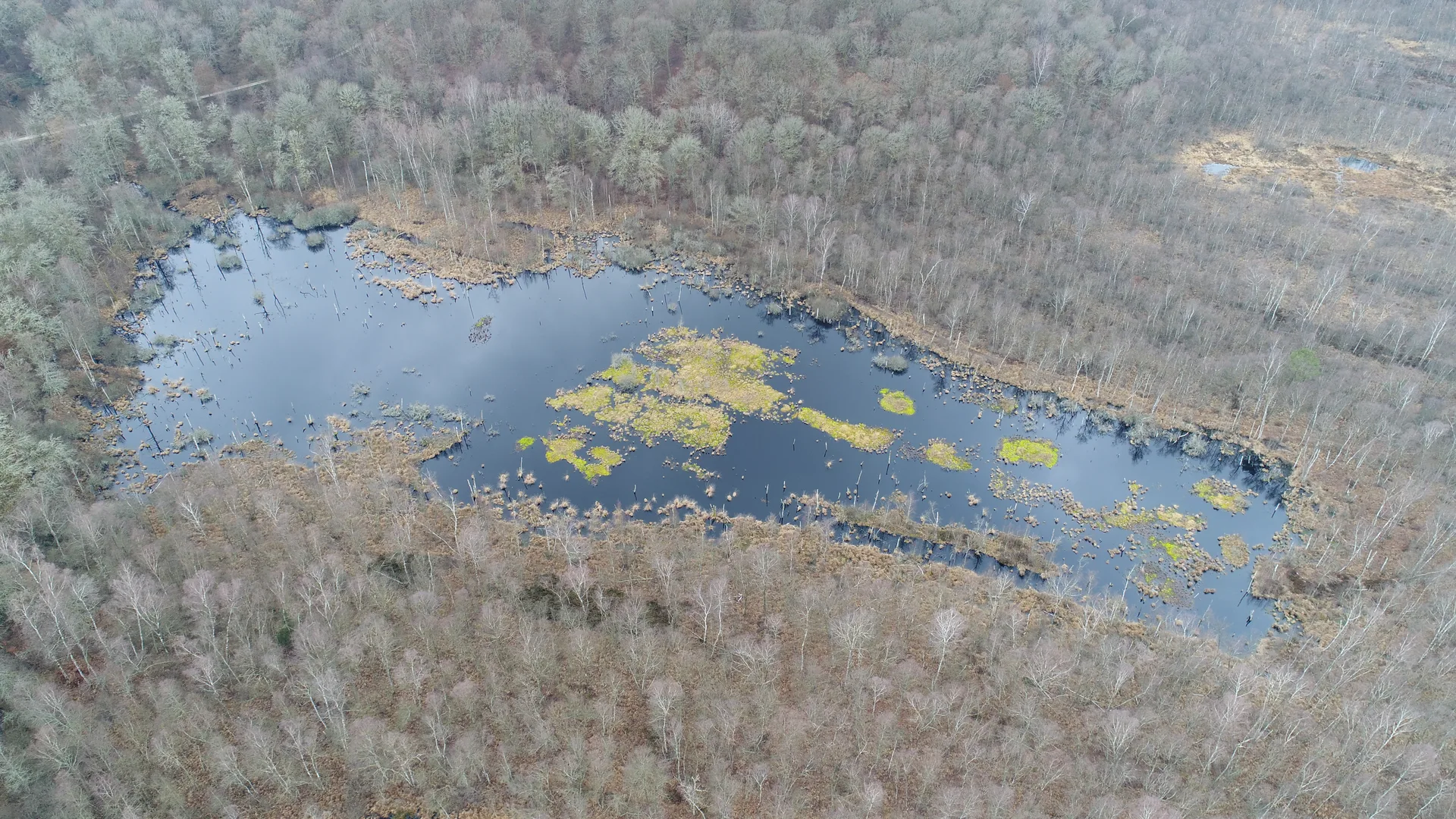 Plan d'eau de Rignovelle à Rignovelle — À 3,8 km du lac