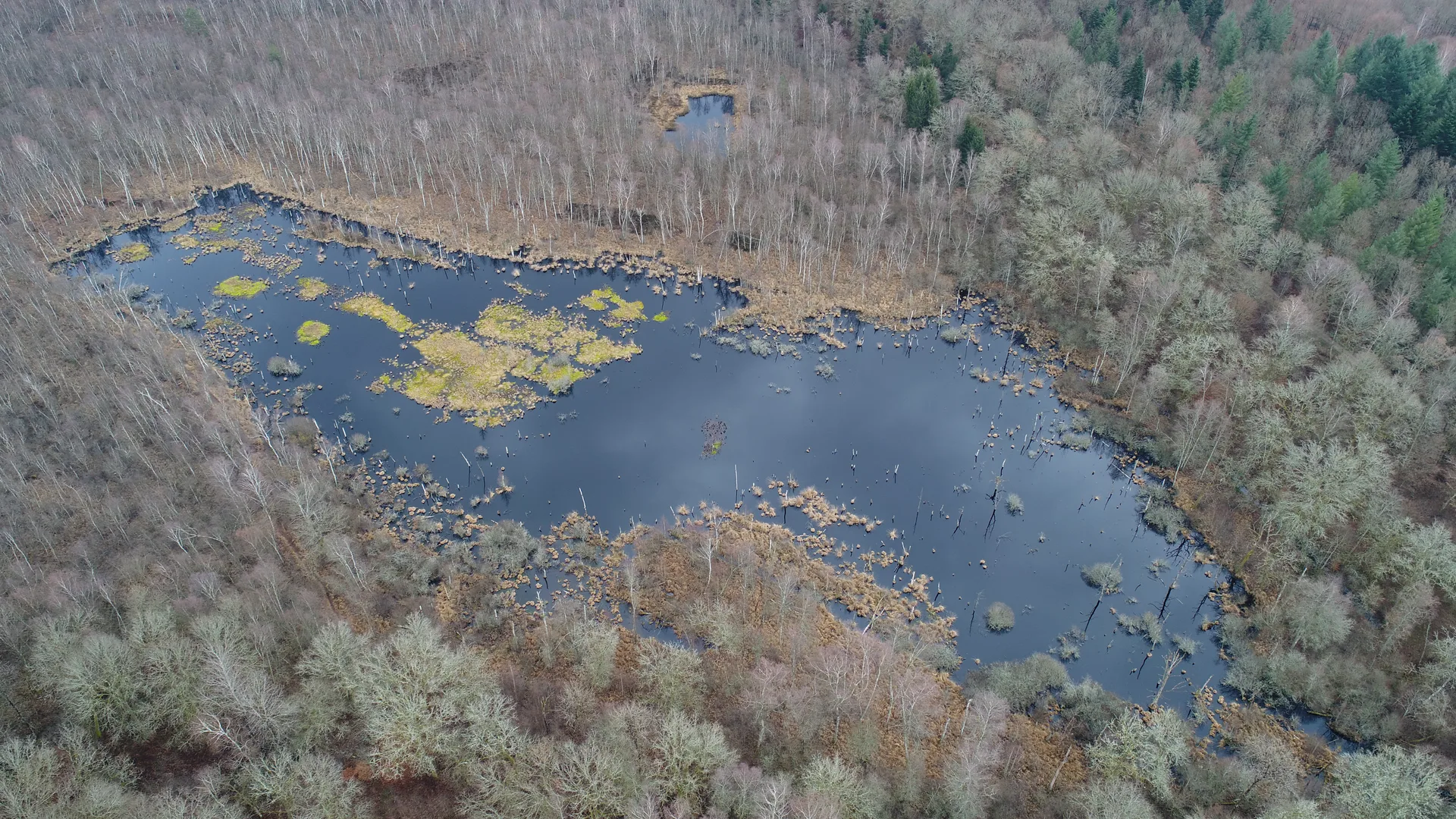 Plan d'eau de Rignovelle à Rignovelle — À 3,8 km du lac